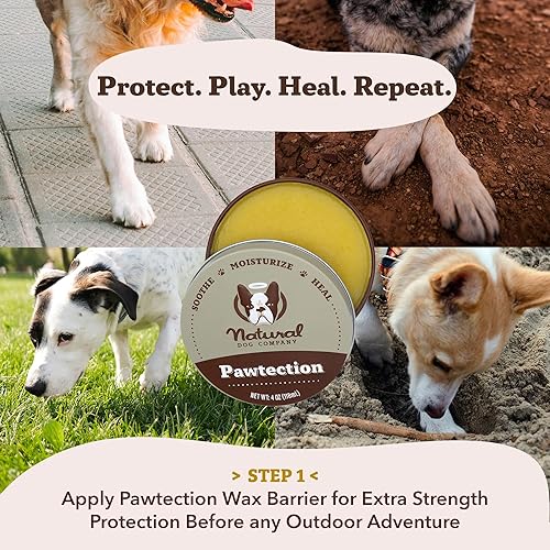 Miniatura 4 de Natural Dog Company Lata para chupete de patas bálsamo natural orgánico y curativo para mascotas chupete de piel de perro para patas secas