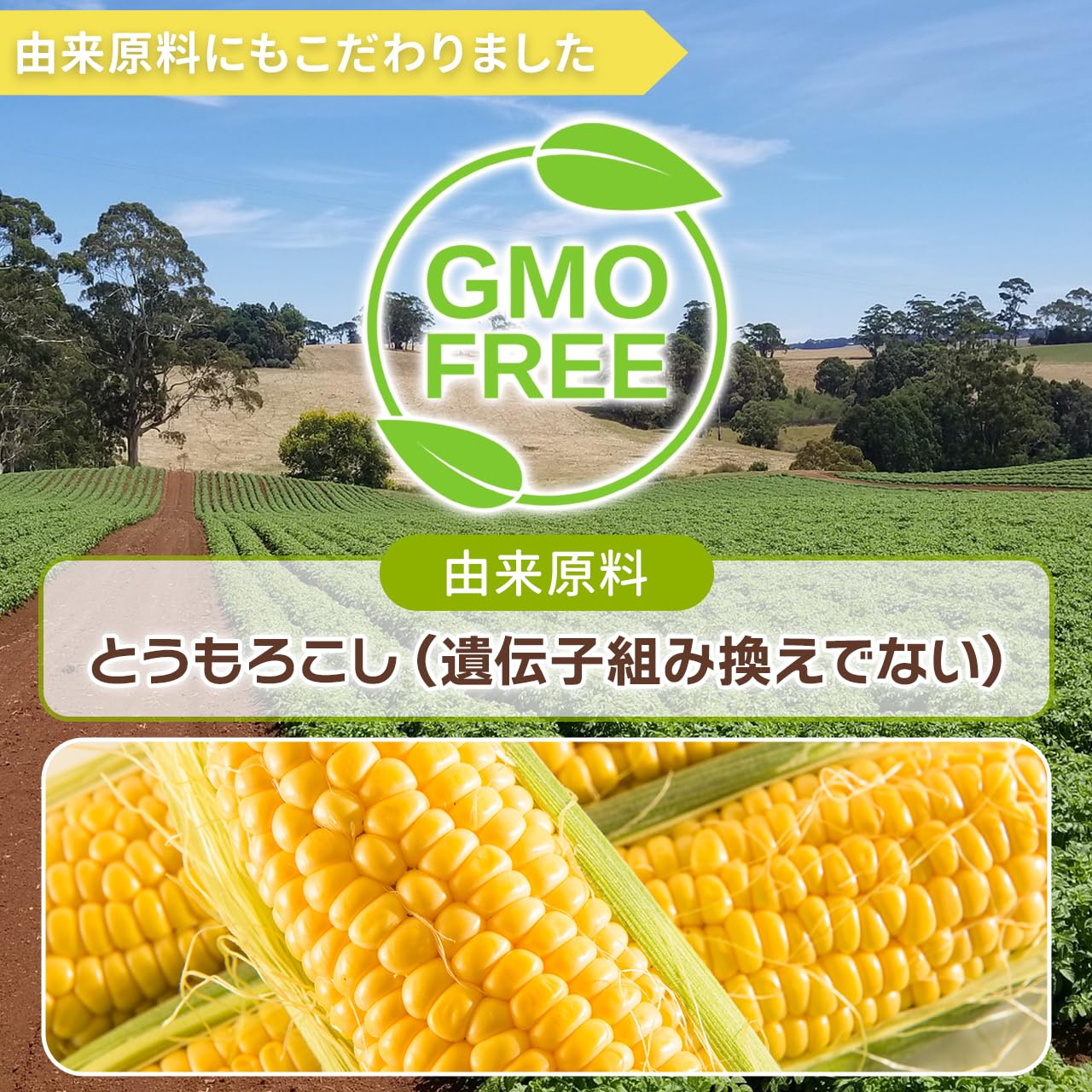 Amazon | NICHIGA(ニチガ) 無水 クエン酸 食品用1kg 食品添加物規格