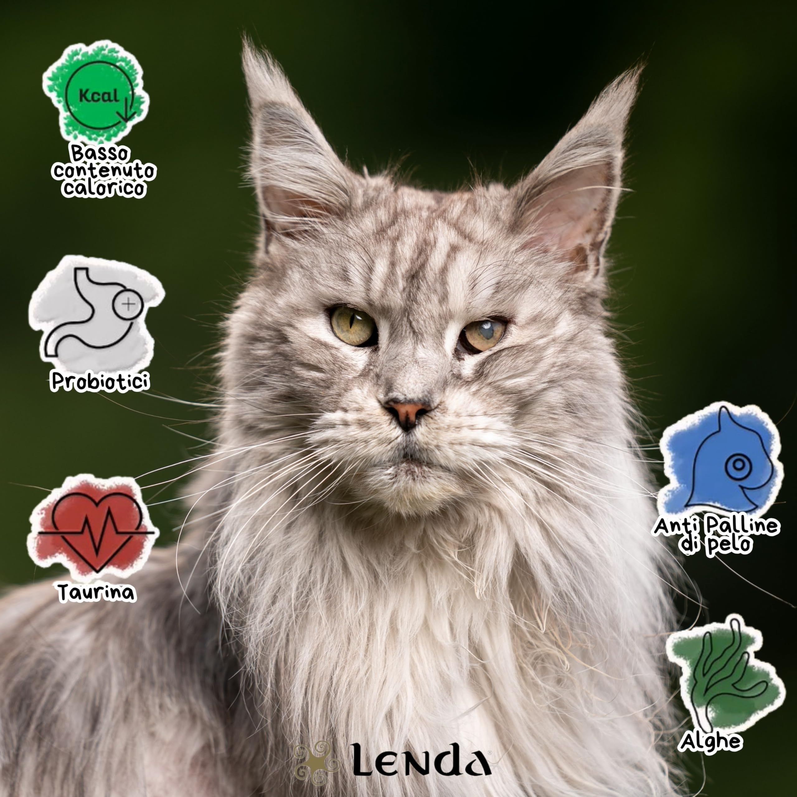 Lenda Gatto Senior Urinary & Sterilized 7 kg - Crocchette Urinary Senza Cereali per Gatti Anziani Sterilizzati - Supporto Urinarie - Con Condroprotettori - Croccantini Naturale Completo
