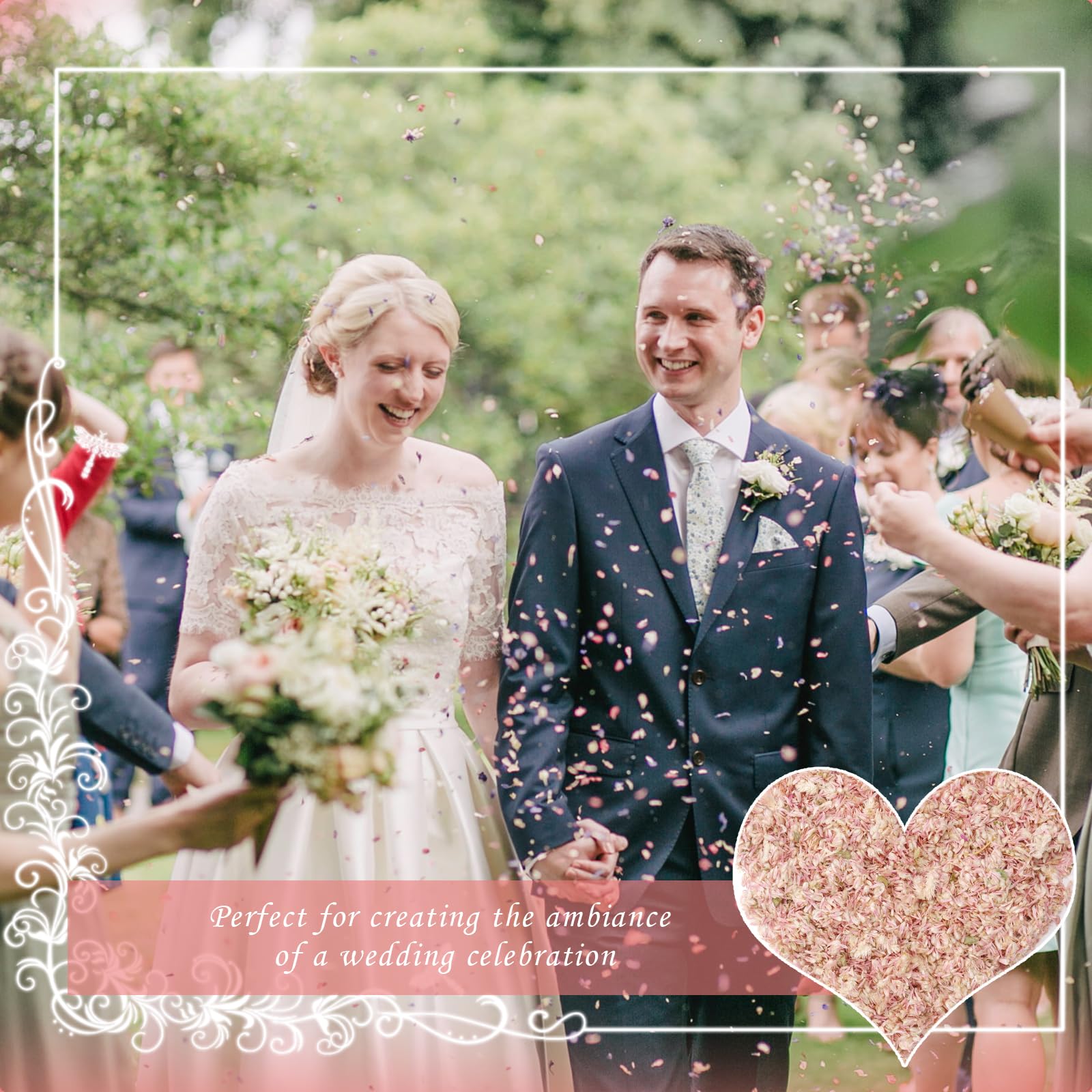 12 Confezioni di Coriandoli di petali Matrimonio Biodegradabili per Fiori Secchi per Feste Compleanni Decorazione della Nuziale (A)
