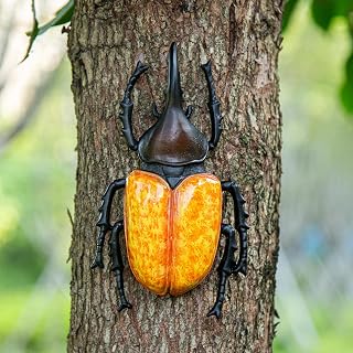 Metal Beetle Wall Art, Garden Courtyard Decoration, Hanging Tree Beetle Decoration, Decorative Resin Beetle.