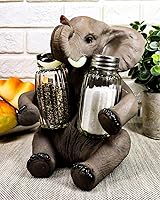 Vista 8 de Ebros Gift Safari africano elefante decorativo de cristal salero y pimentero titular figura decoración 7 "H elefantes cocina bar comedor acento