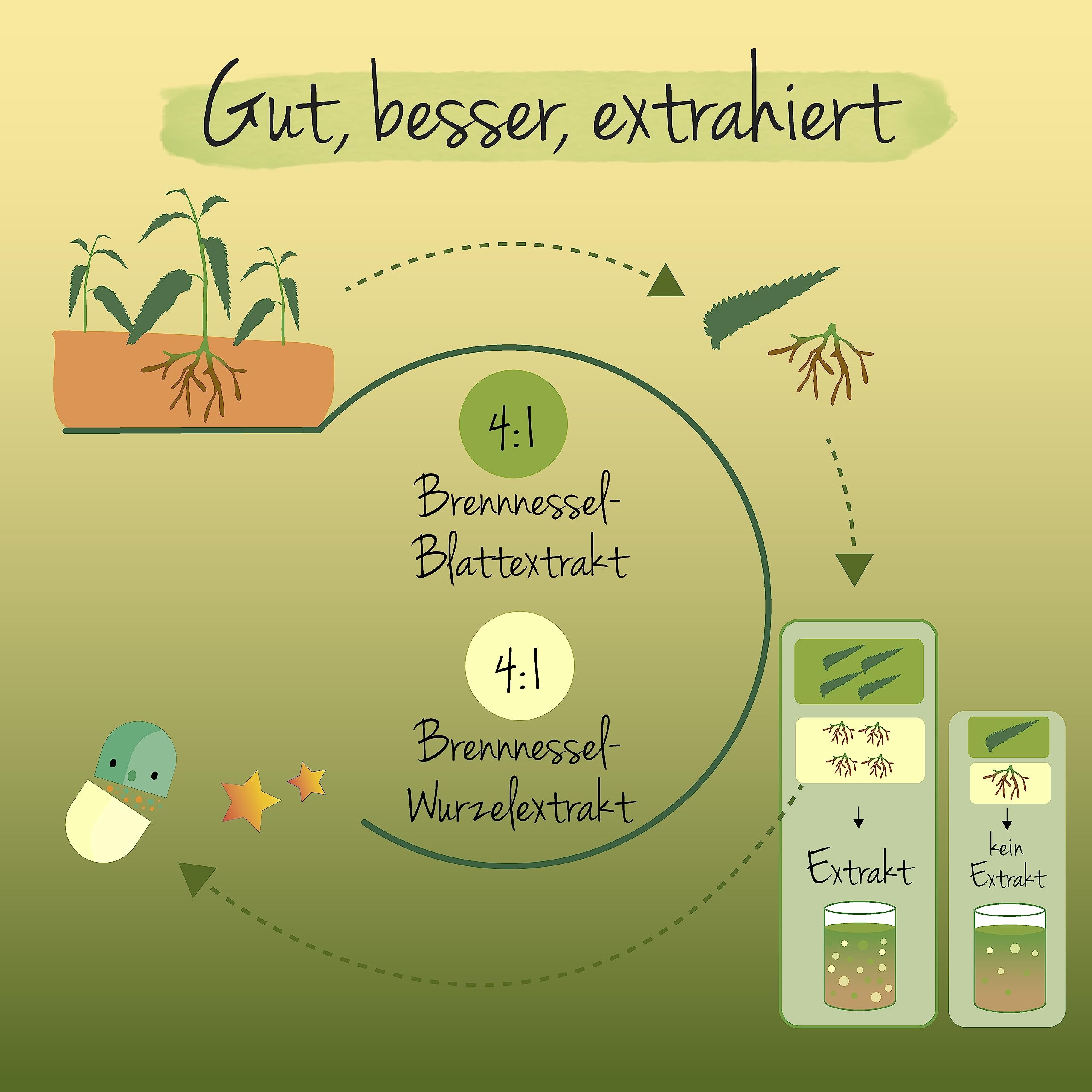 Bio Brennnessel Kapseln hochdosiert | 100% Rohstoffe aus Europa | 900 mg Extrakt aus Wurzel + Blatt | Laborgeprüft | 120 Stück | Vegan und ohne Zusatzstoffe | Deutsche Produktion von Vegavero