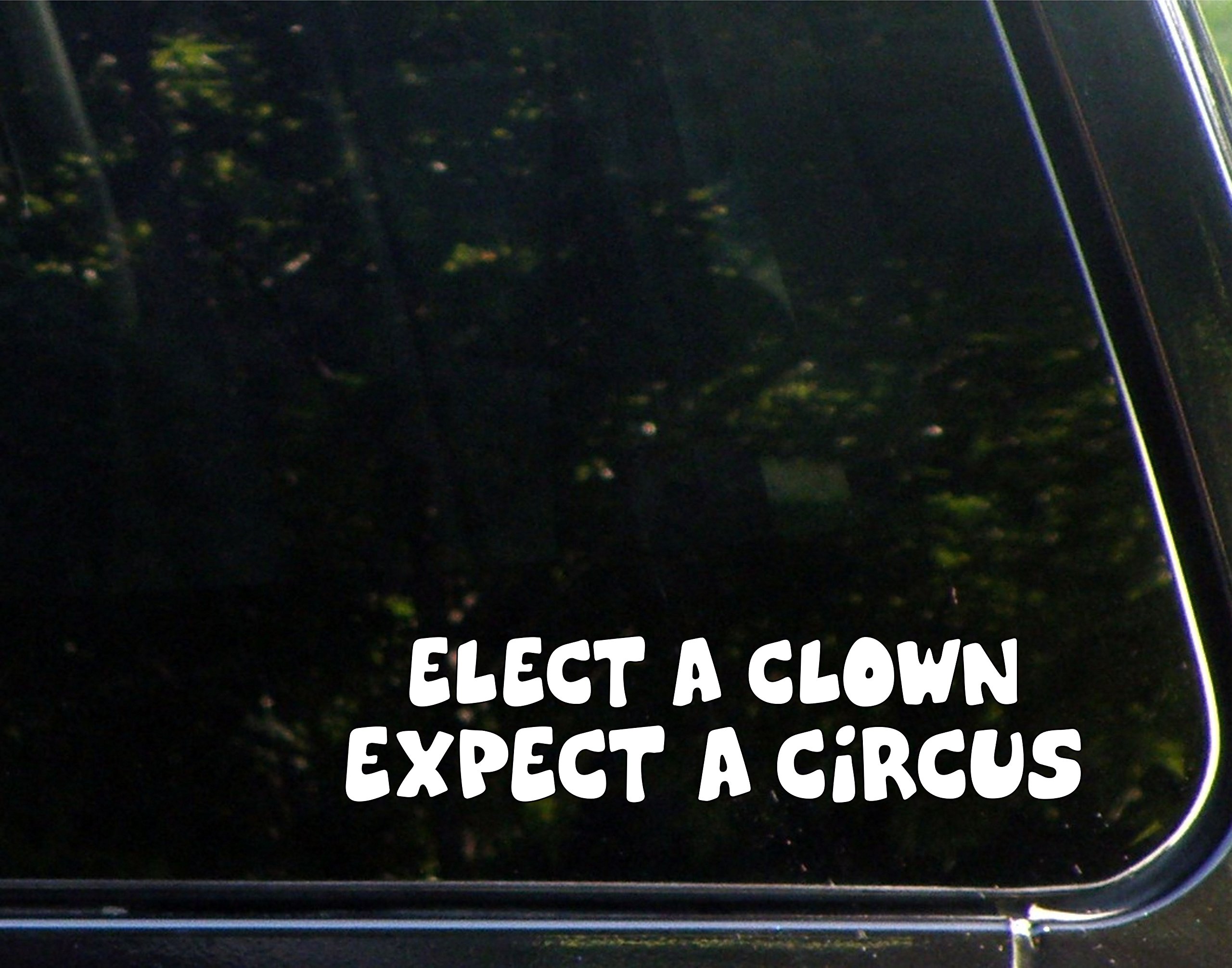 Elect A Clown, Expect A Circus - 8-1/2