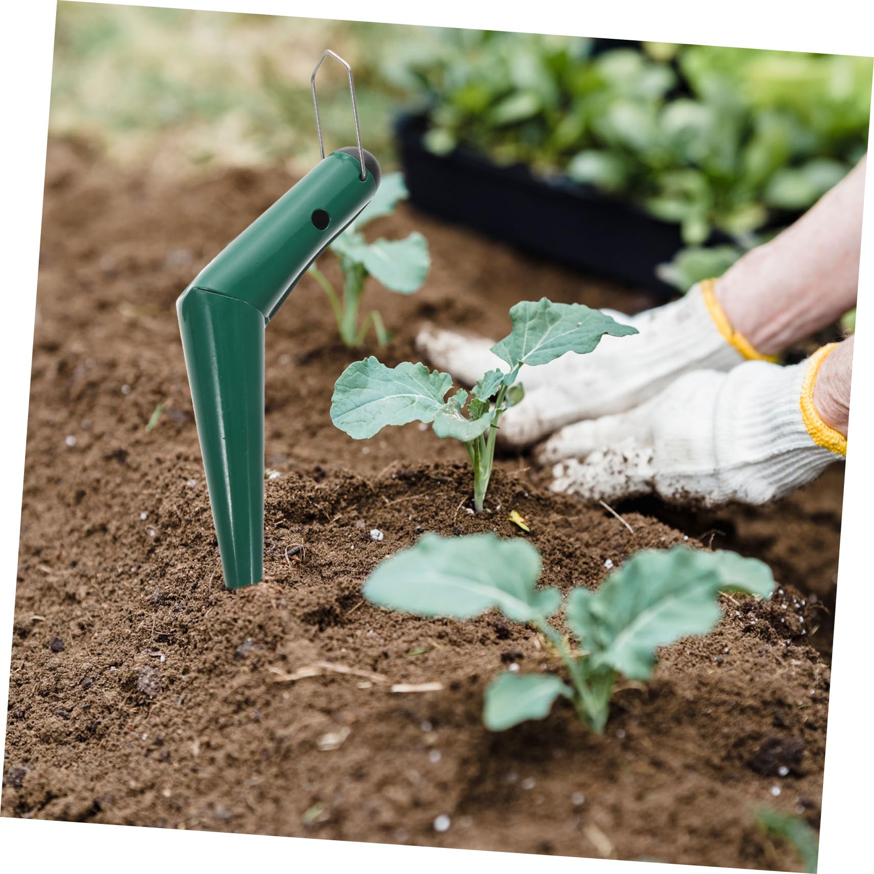 TOYANDONA Garten Pflanzgerät Mit Griff Pflanzwerkzeuge Für Erde Handpflanzer Aus Natürlichem Material Pflanzstecher Für Garten Pflanzholz Für Aussaat Und Bepflanzen