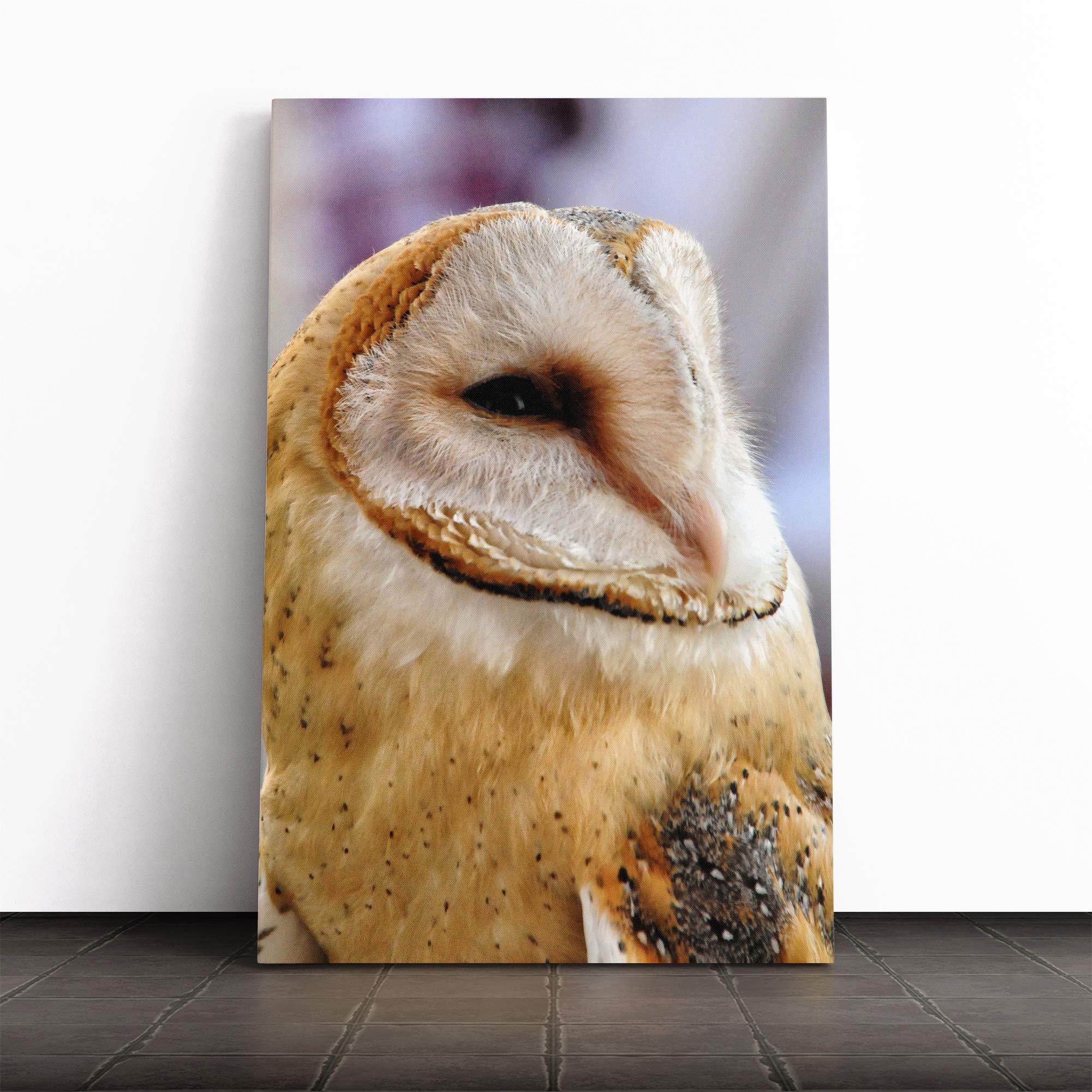 Barn Owl Bird (2) Canvas Print | Gallery Wrapped 30mm Frame Wall Art | 20x14 inches | Ready to Hang | Modern Animals Picture | Living Room Bedroom Lounge Office