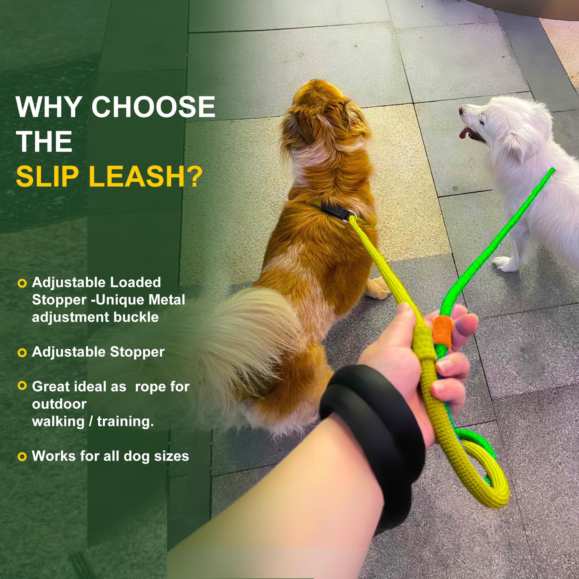 Dog Training Leash Pulling: Stop the Struggle Now!