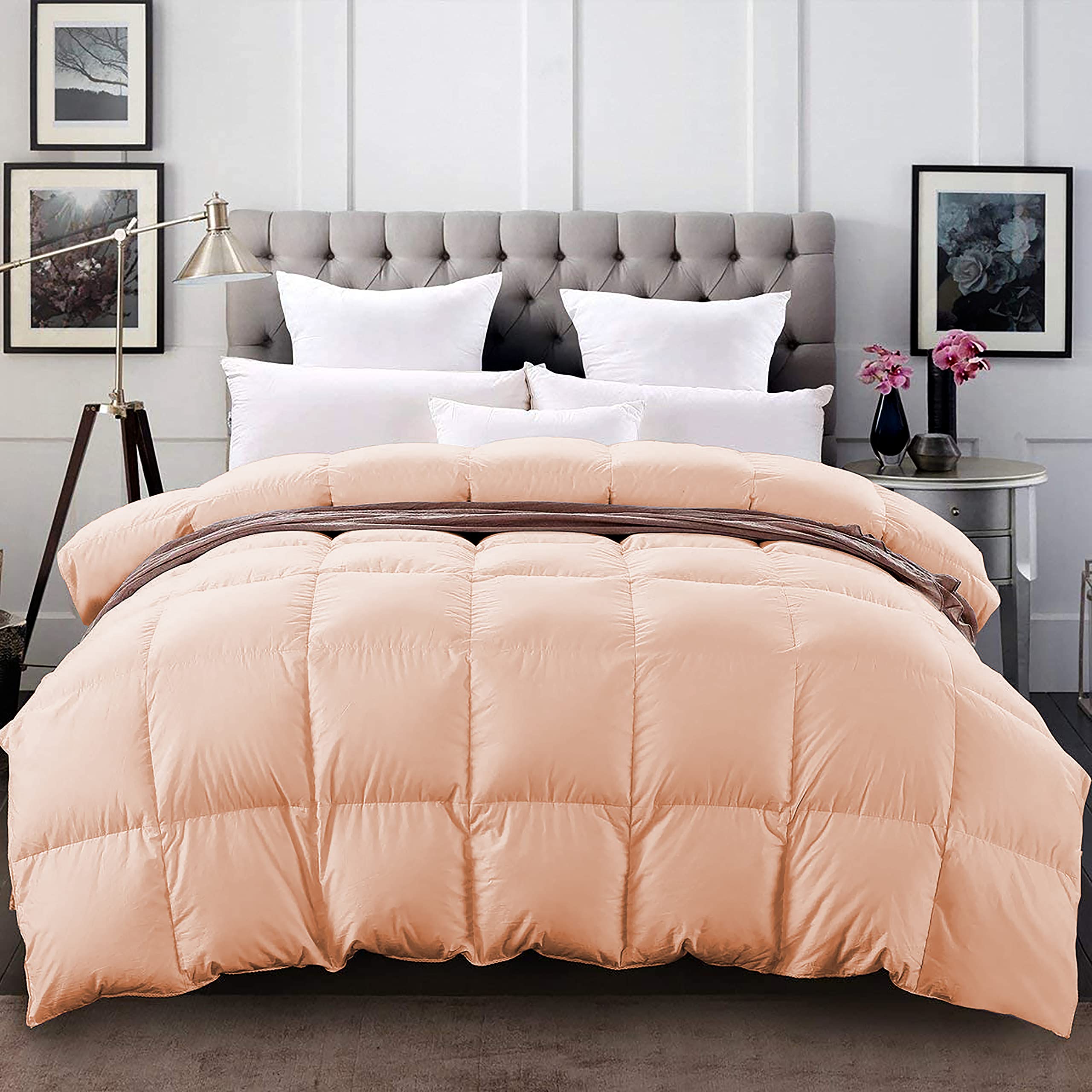 See full amazon price history chart for YRM - 500 GSM Ultra-Soft Quilted Comforter (90" x 90" Inches/228cm x 228cm) - Queen Size|Peach YRM - 500 GSM Ultra-Soft Quilted Comforter (90" x 90" Inches/228cm x 228cm) - Queen Size|Peach (B09BNR19NB) Amazon Price History, Amazon Price Tracker