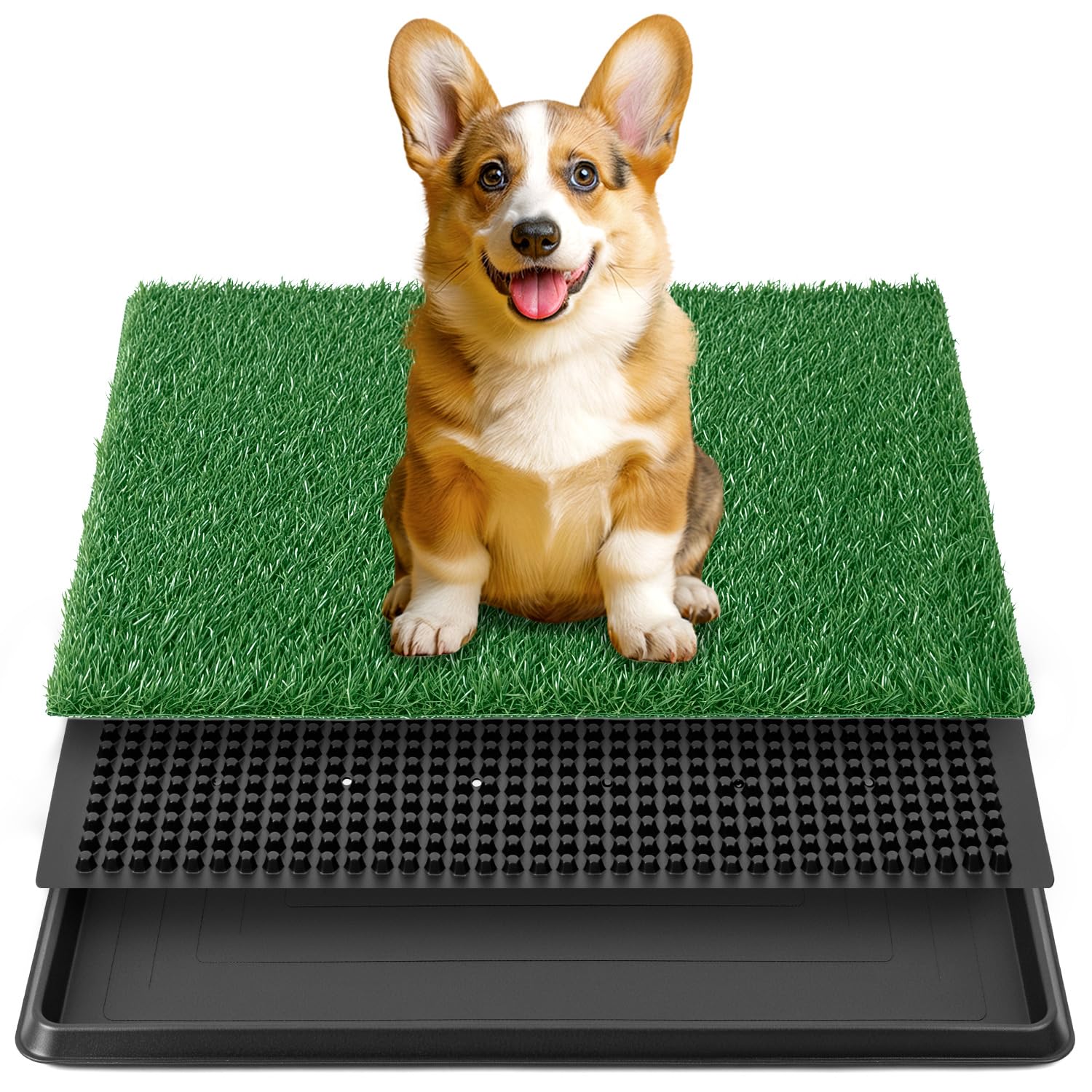 QWORK® Toilette Chien en Gazon synthétique 50x60 cm, pour Petits et Moyens Chiens