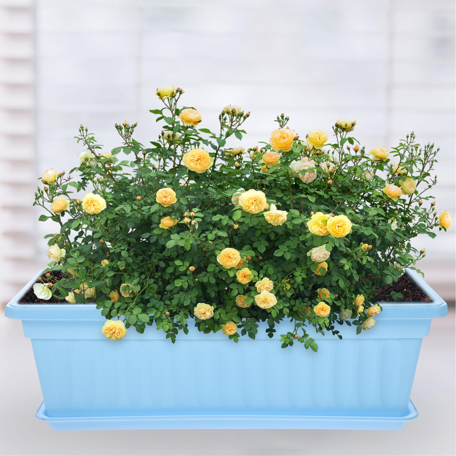Fensterbank Blumenkasten 4 Stück Rechteckig 43X19X14Cm mit Untersetzer aus Langlebigem Kunststoff für Balkon und Gartenpflanzen in Blau Lila Grün Gelb