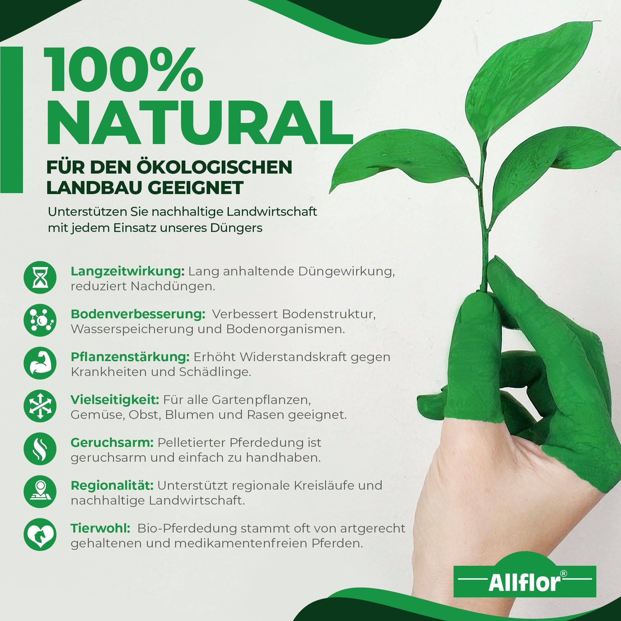 Allflor Bittersalz mit 16% Magnesium I 1 x 10 Kg I Bittersalz gegen Braunfärbung an Nadelbäumen und Hecken I Salzdünger für Blattgrünbildung I Zur Blatt- und Bodendüngung