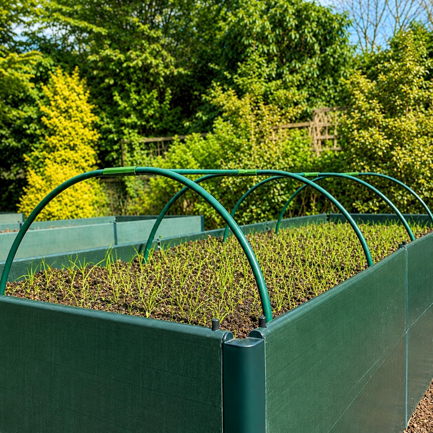 Extendable Garden Cloche Hoop Tunnel Kit for Netting Plant Support & Protection | Heavy Duty Metal Polytunnel Greenhouse Arch Frame & Connectors (2m long x 0.85m wide x 0.35m high)