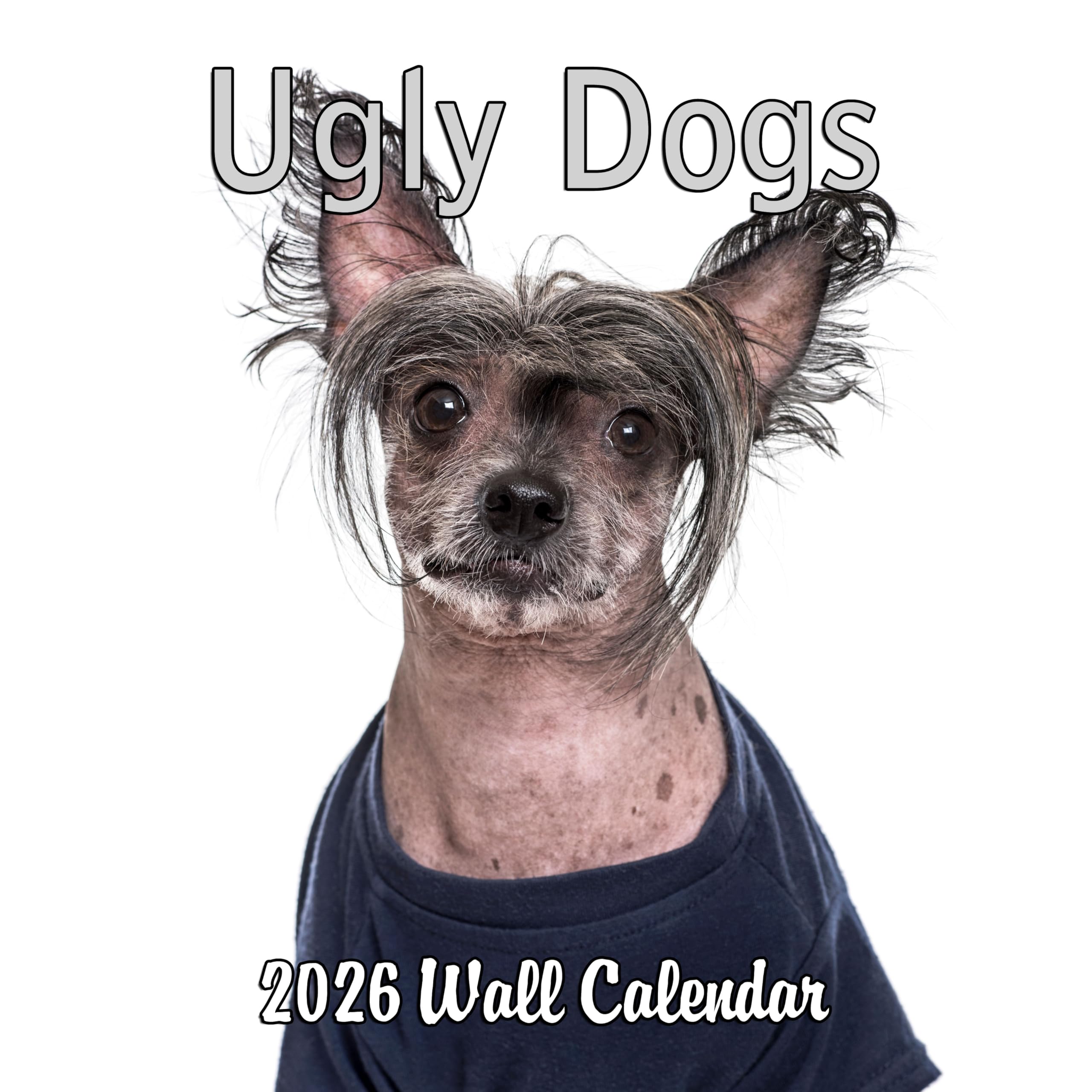 2026 Ugly Dogs Monthly Wall Calendar | Funny White Elephant Gift Gag Gift Calendar September 2025 - December 2026
