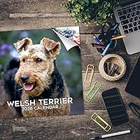 Vista 645 de Razas de Perros 2017