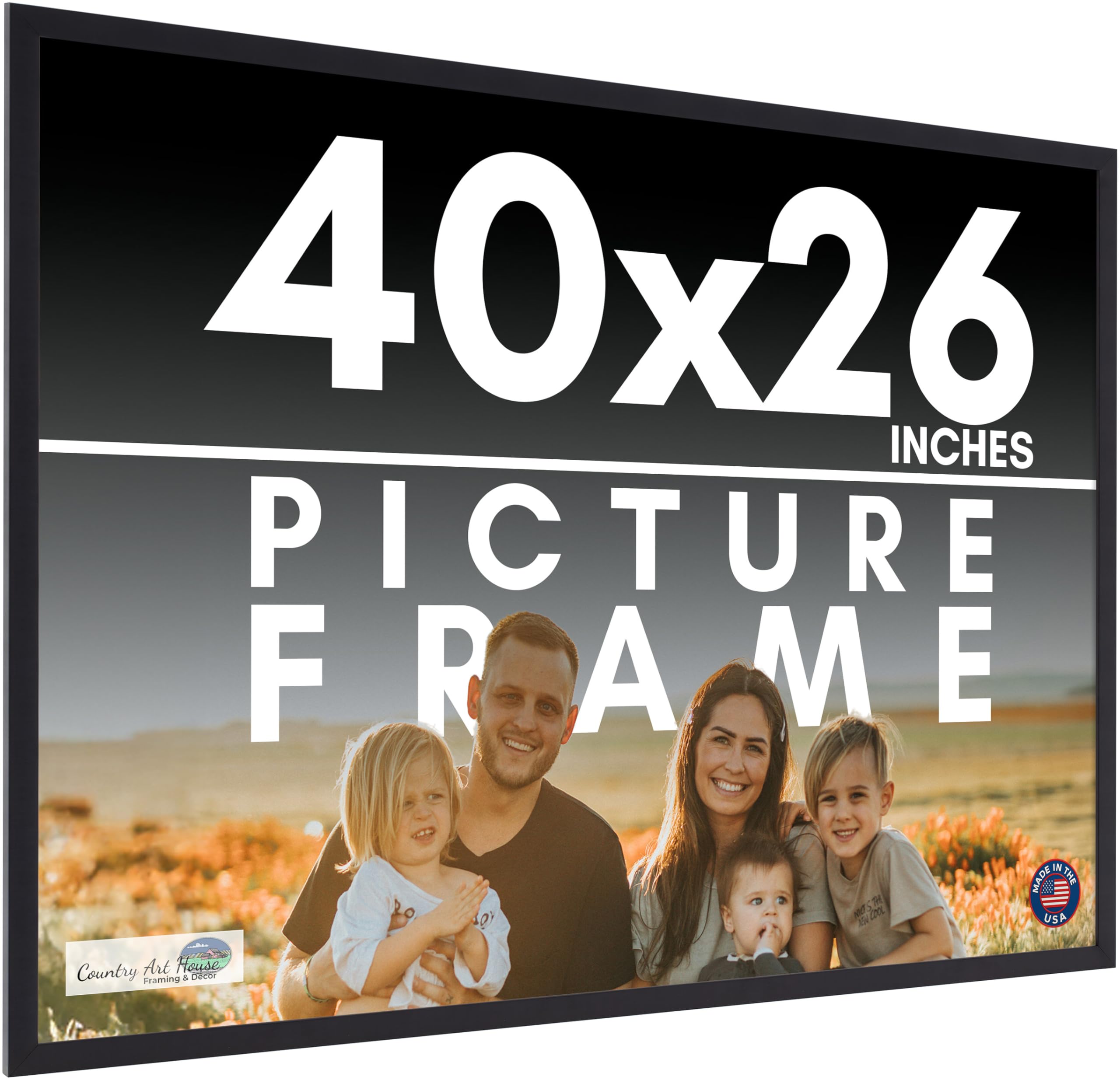 Amazon.com - 40x26 Frame Black Picture Frame - Complete Modern