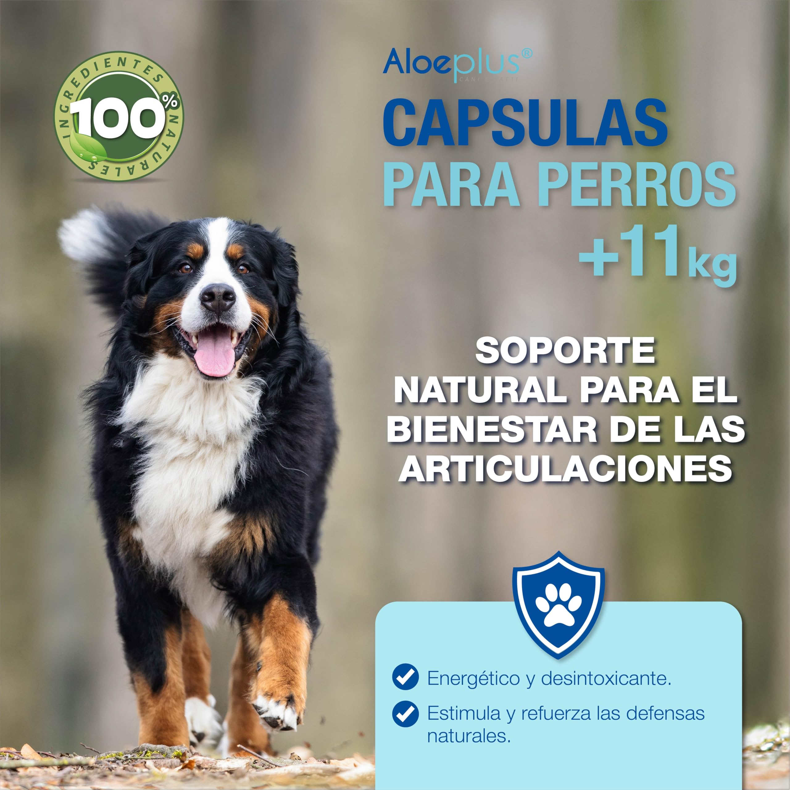 Aloeplus Suplementos cápsula para Perros 11+ kg. - Suplemento Natural a Base de Aloe arborescens - Estimula el Sistema inmunológico - para el Bienestar de los Perros de 11 kg en adelante