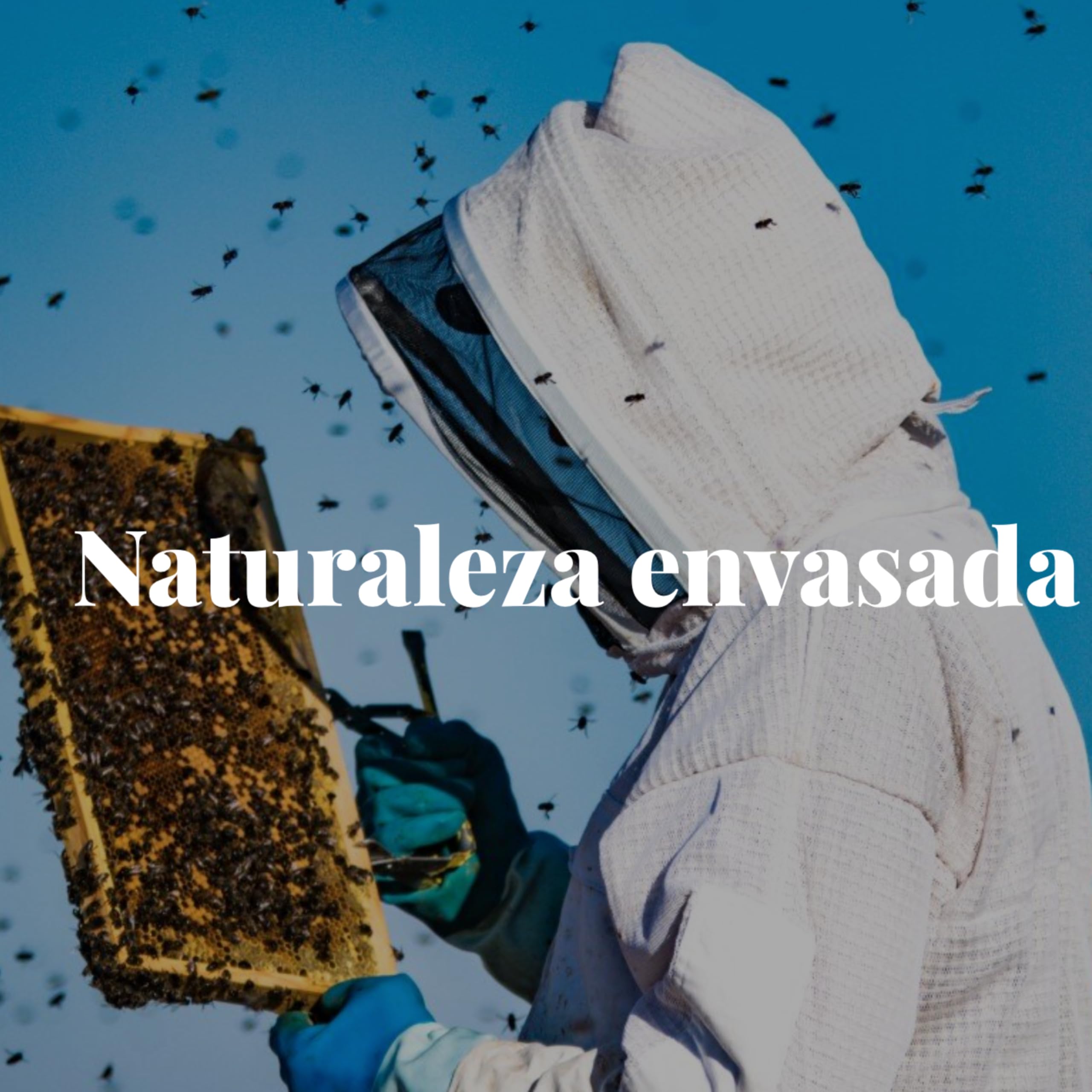 79 Setentaynueve - Miele di Lavanda Naturale Grezza | Origine: Tiedra, Valladolid | Aroma Floreale con un Tocco di Camomilla | Antisettico e Contro il Raffreddore (1000 g)