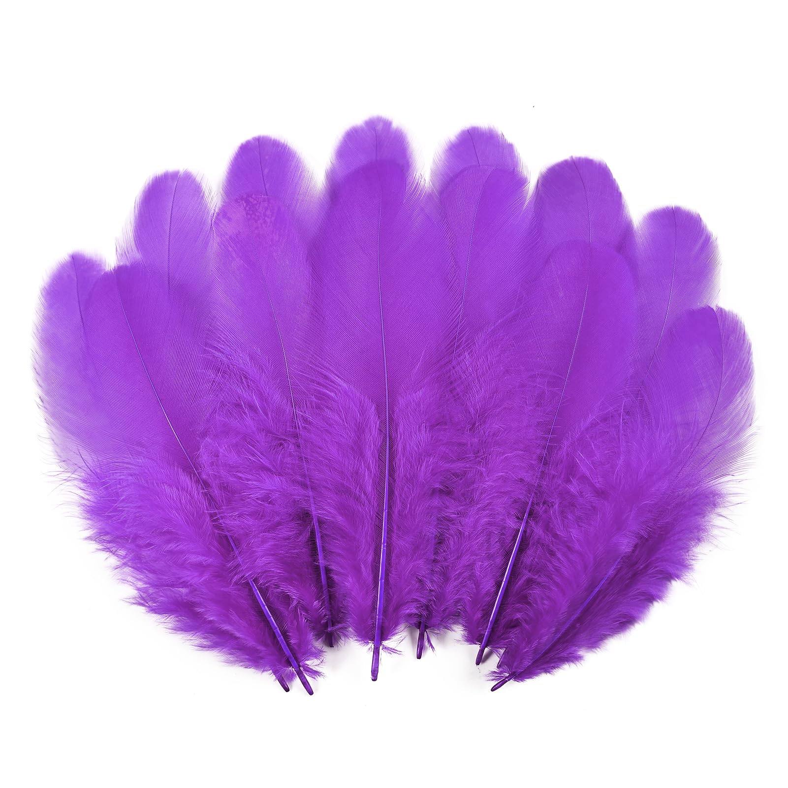 Bunte Hahn Federn, 900 Stück, 7,6–12,7 cm, farbige Großfedern, natürliche Federn zum Basteln, für Kindergarten, Basteln, Zuhause, Hochzeit, Party, Dekoration, Traumfänger-Zubehör (lila)