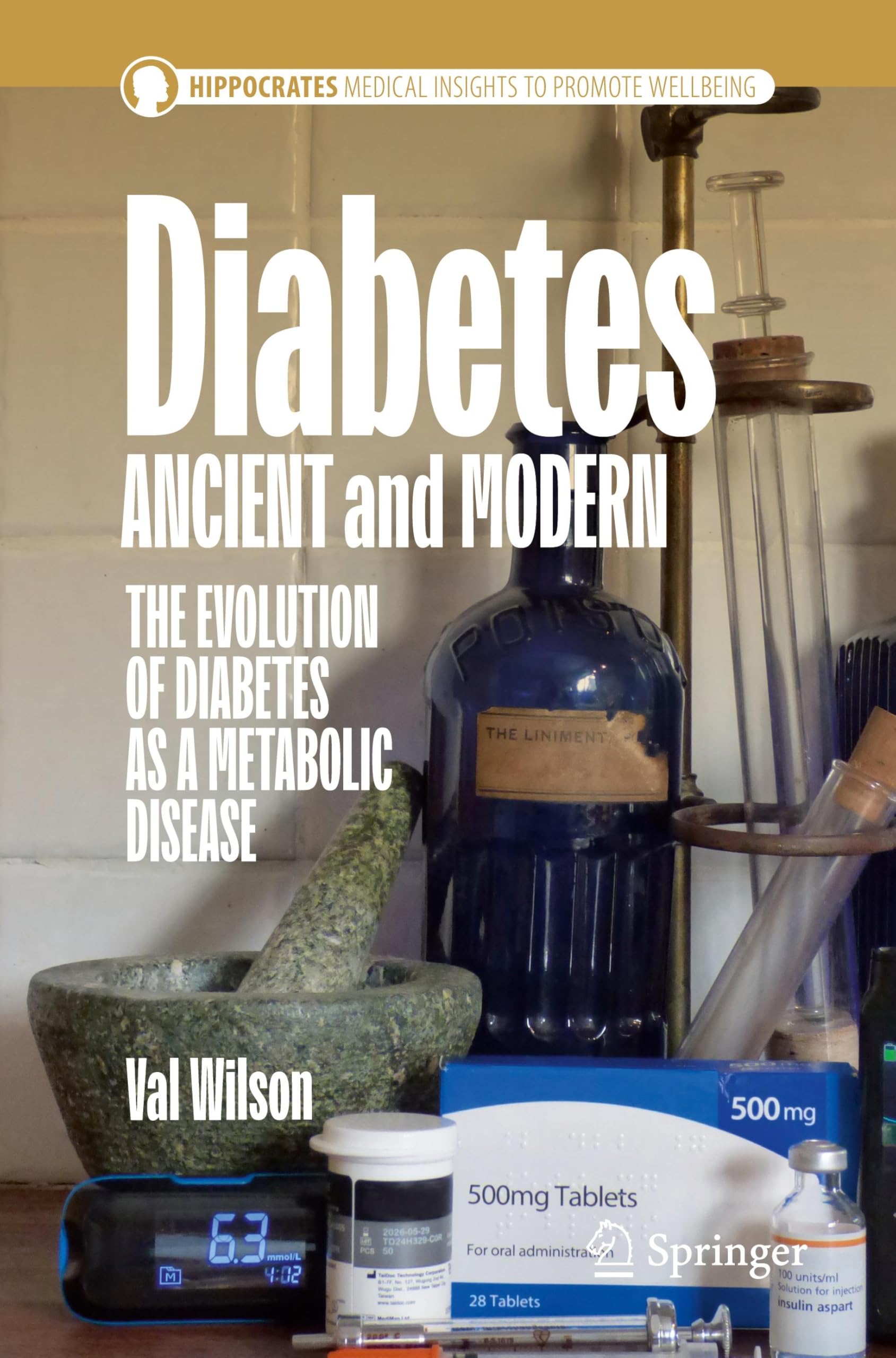 Diabetes Ancient and Modern by Val Wilson - 9783032124531
