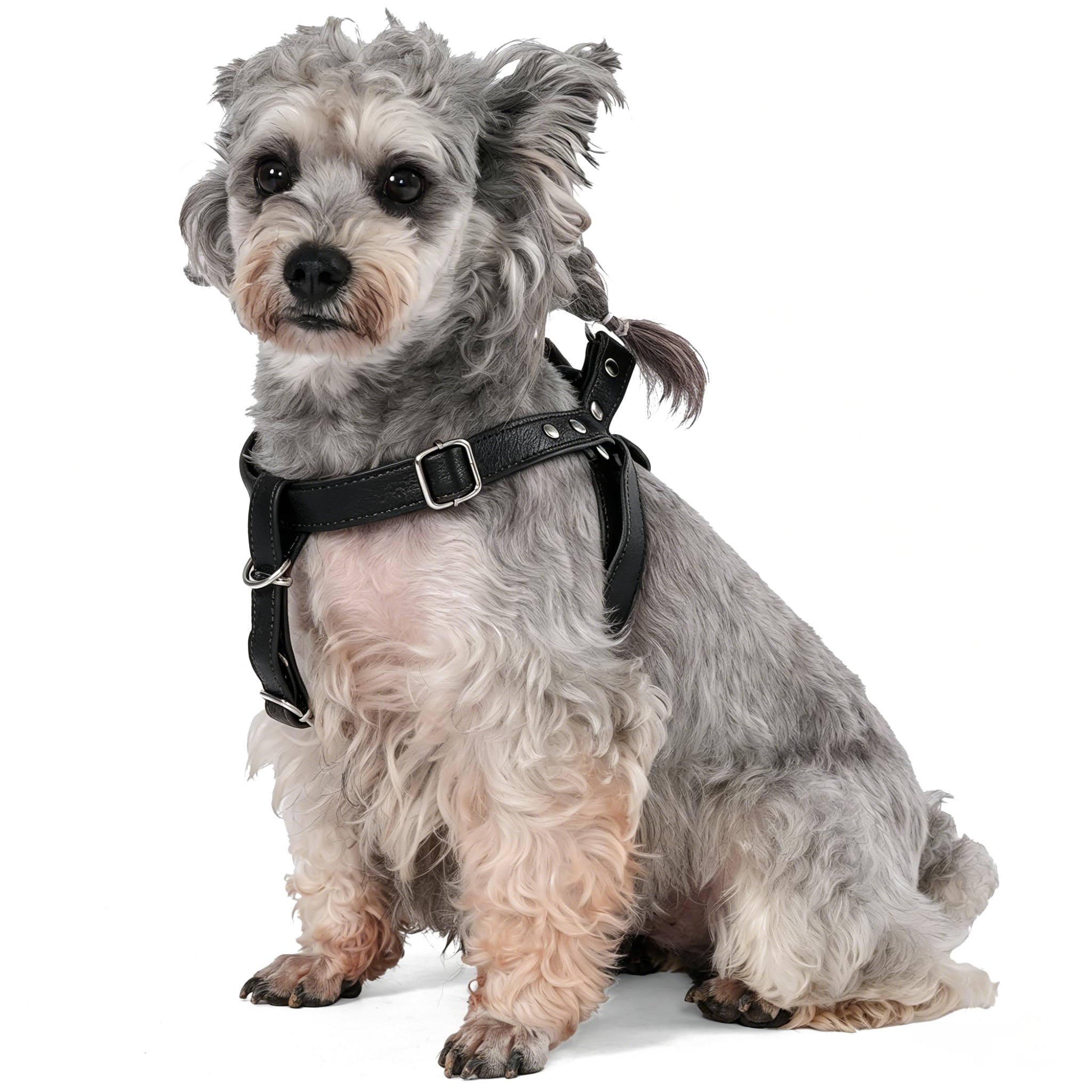 feiling Dog Harness Anti Pull Soft Leather Harness Adjustable Chest Harness Norwegian Escape Proof Pet Harness Soft for Small Medium Large Dogs (M, black) — image 1