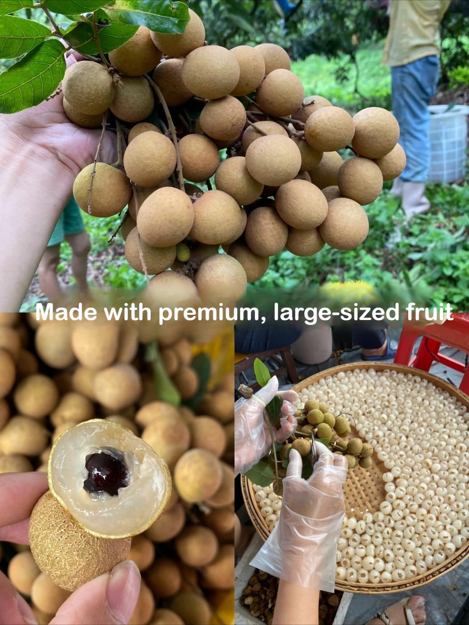 Carne seca de Longan, 500 g de pulpa grande, sin aditivos, nuevo cultivo fresco de temporada, regordete y dulce, pulpa natural de Longan.
