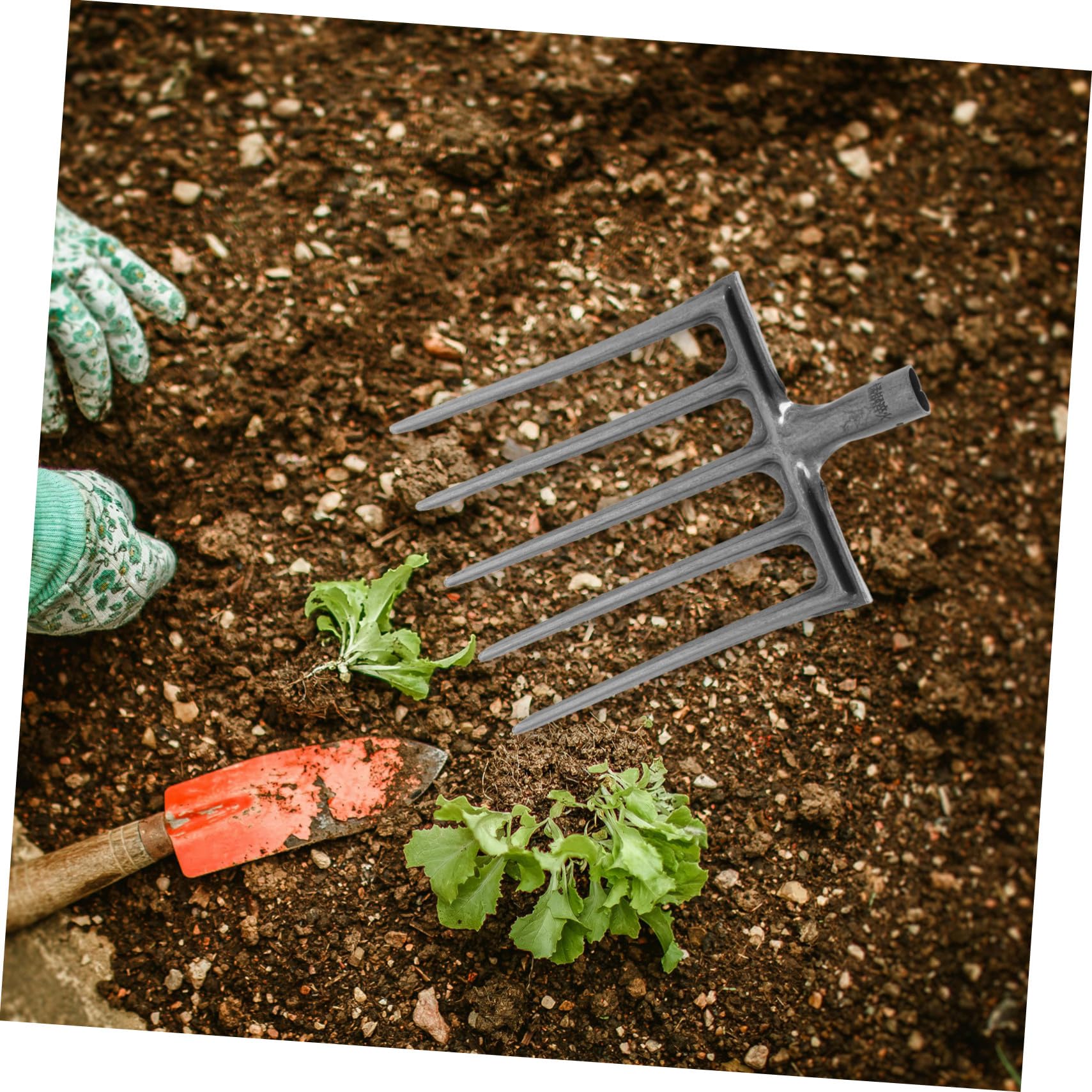 Forca da Aratura in Acciaio per Giardinaggio Agricolo, Testa Forca Multidente 5 e 6 Punte, Utensile per Allentare e Rivoltare Terreno, Attrezzo per Manutenzione Orto e Stalla