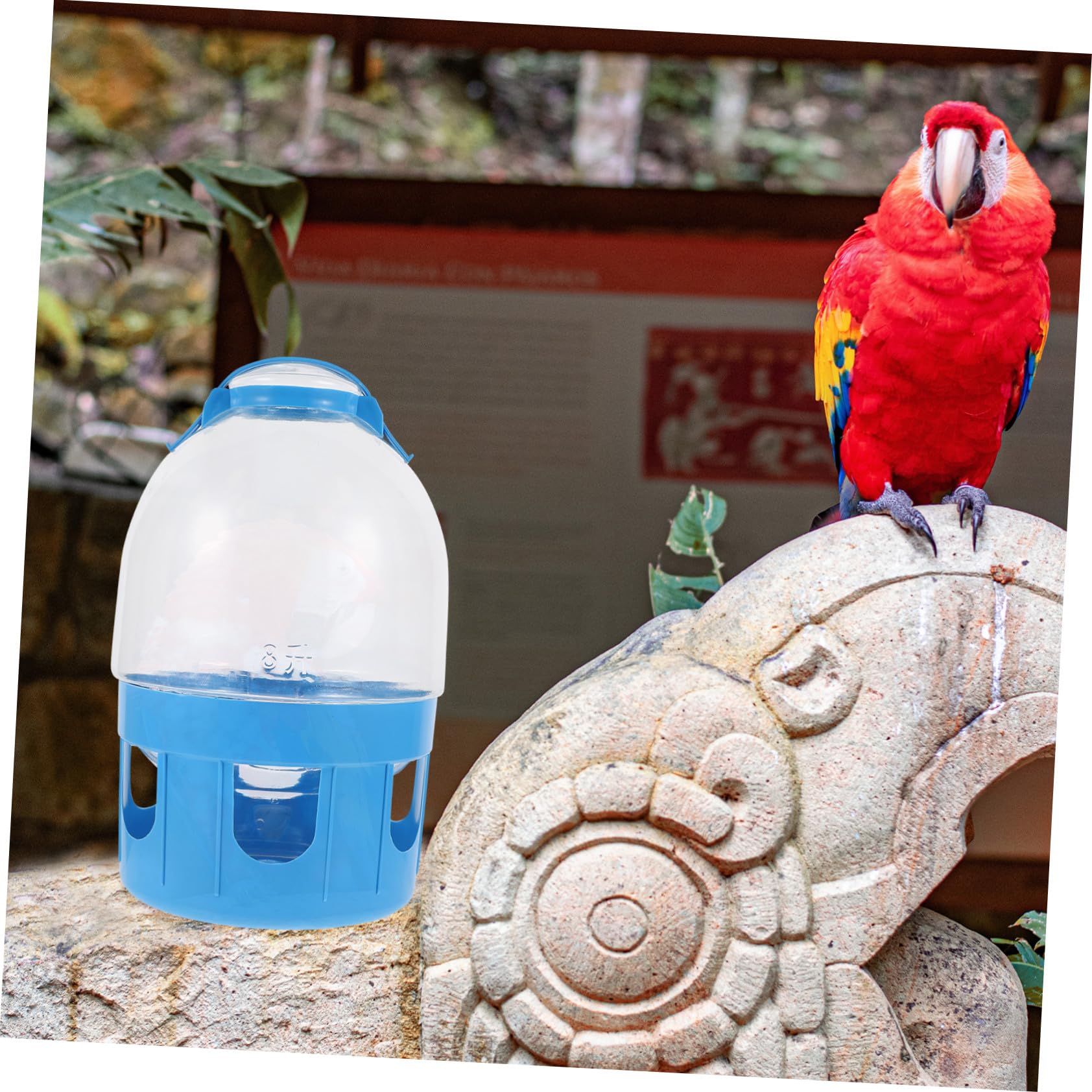 Mangiatoia per Piccioni Bevitore D’acqua Trasparente 8l, Abbeveratoio Professionale in Plastica Scala di Capacità, per Allevamento e Cura Uccelli Domestici Colore Casuale