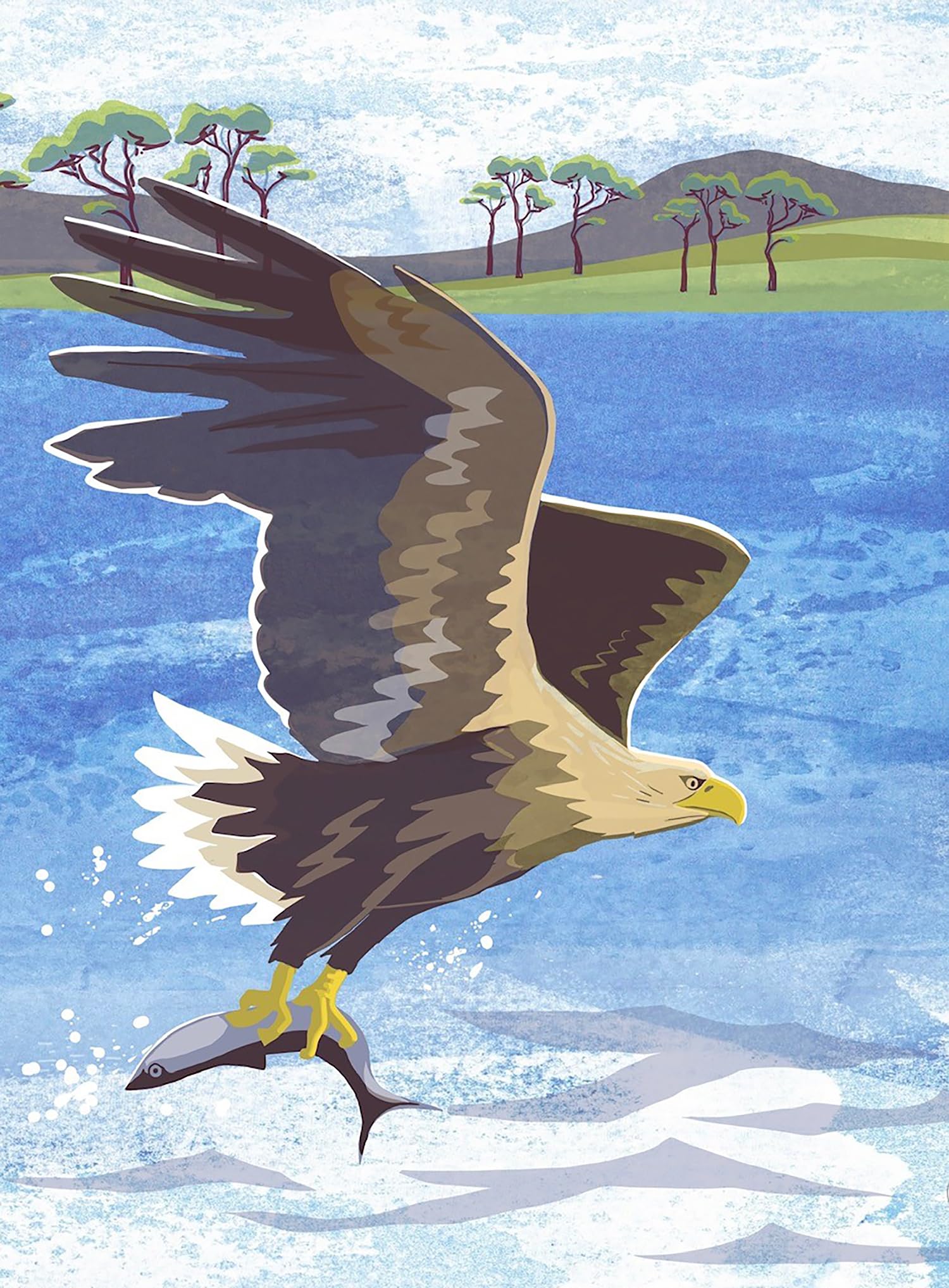 Nature Notebook: Sea Eagle by Jane Smith - 9781780278780