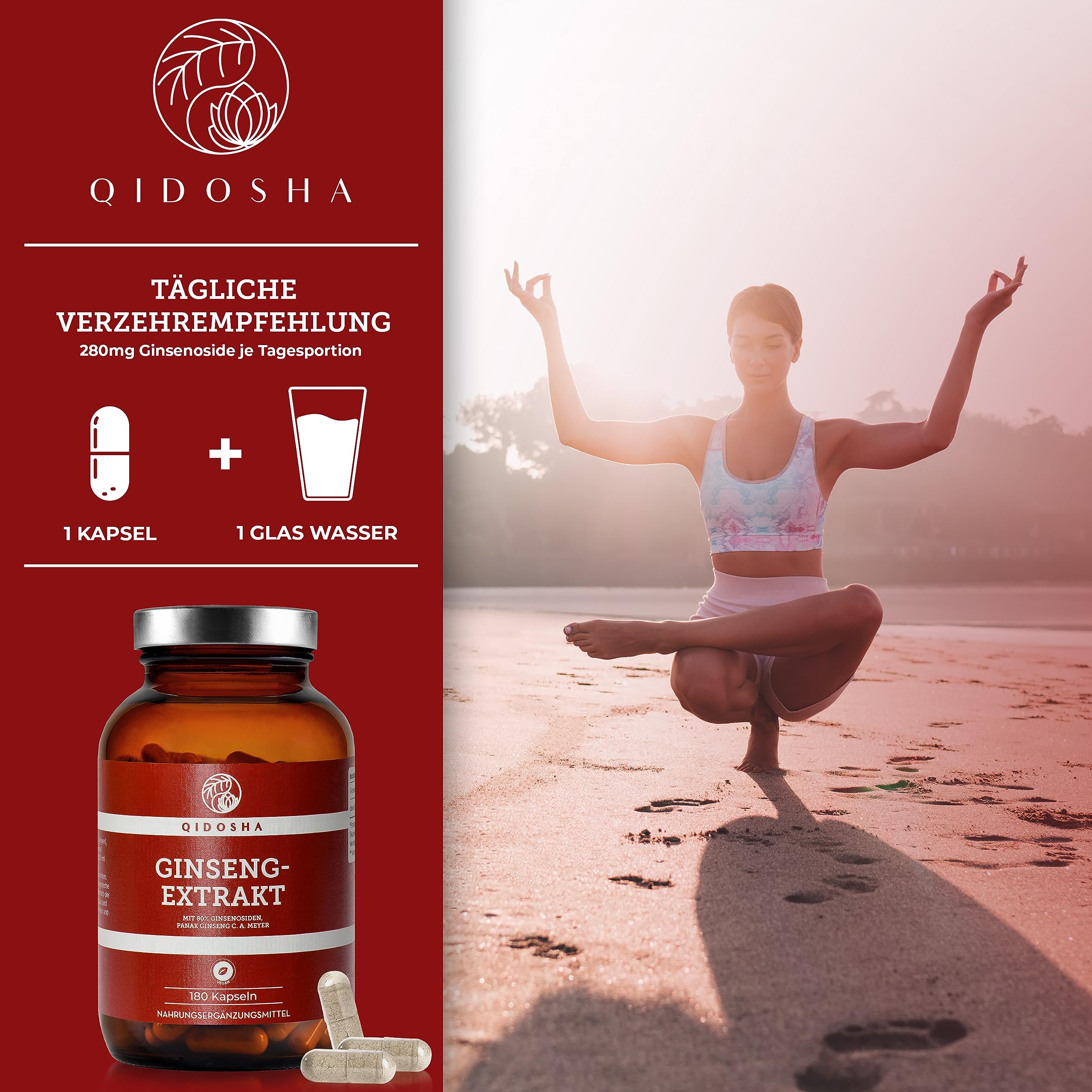 QIDOSHA® Ginseng Kapseln hochdosiert mit 80% Ginsenosiden, 180 Kapseln im Apothekerglas, original Roter Panax Ginseng C.A. Meyer, deutsche Fertigung, ohne Füllstoffe