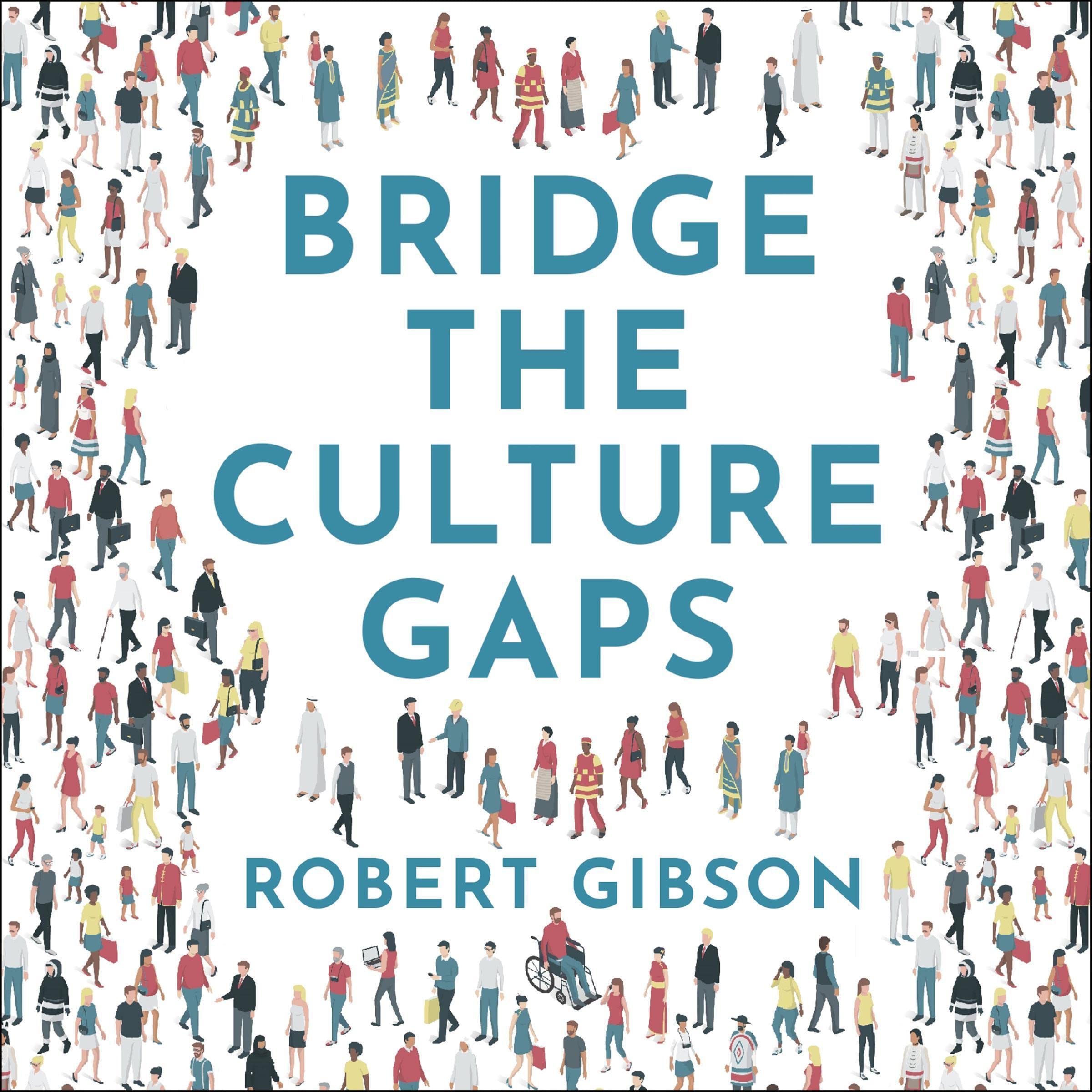 Bridge the Culture Gaps: A Toolkit for Effective Collaboration in the Diverse, Global Workplace