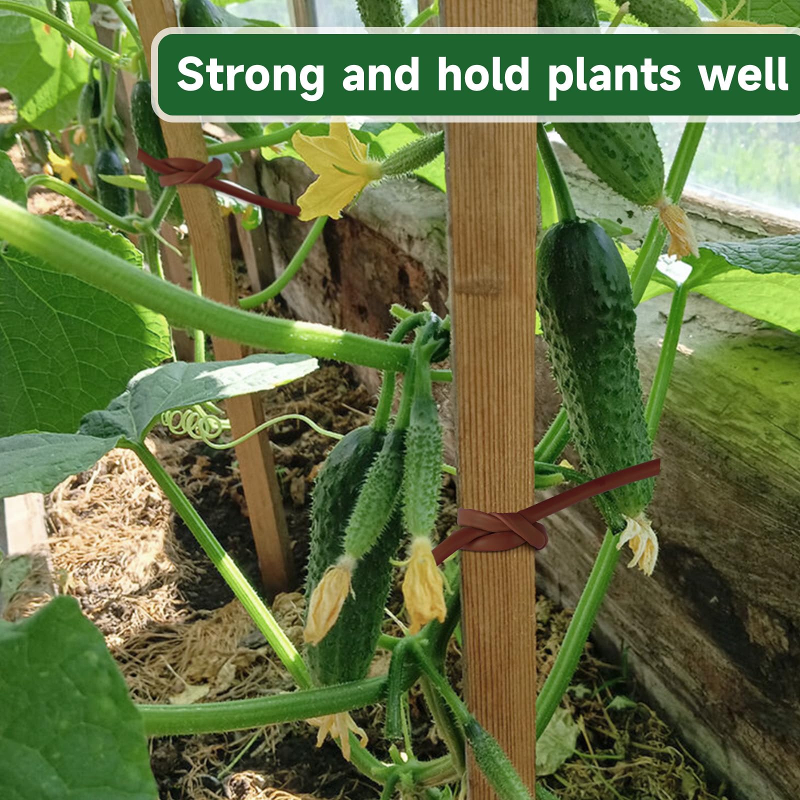 KINGLAKE Lien Souple Tube Creux pour Attacher Plantes, 3mmX100m Cordon Creux, Tuyau Creux en Caoutchouc pour Tomates, Roses, Fleurs- Brun