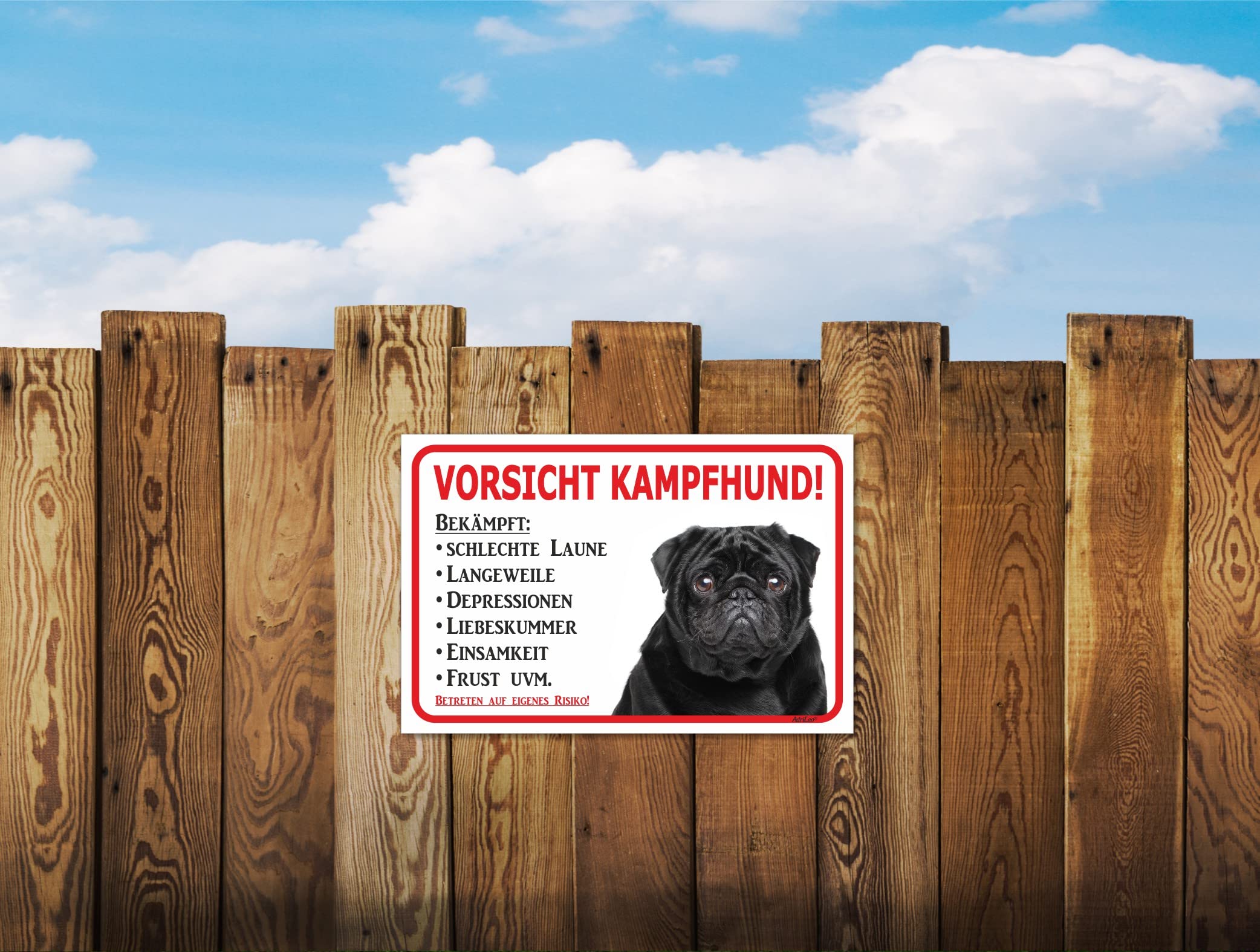 Warnschild 'Vorsicht Boxer' 15x20cm - Aluminium Für Haus Und Garten