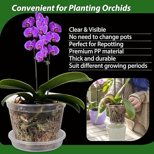 Miniatura 4 de DI QIU REN Paquete de 10 macetas de orquídeas transparentes para trasplantar, macetas de plástico de 6 pulgadas con agujeros y platillos, maceta de