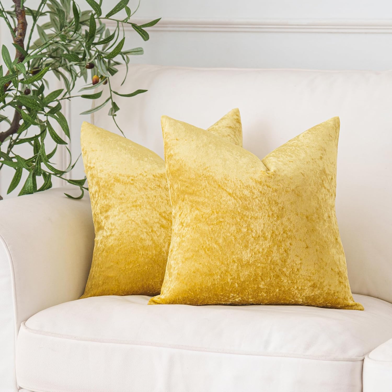 NiNi ALL Velour Throw Pillow Covers Gold 24x24 Inch Set of 2 Decorative Luxurious Velvet Pillow Cover Glossy Pillowcase Cushion Cases for Couch Sofa and Home Decor