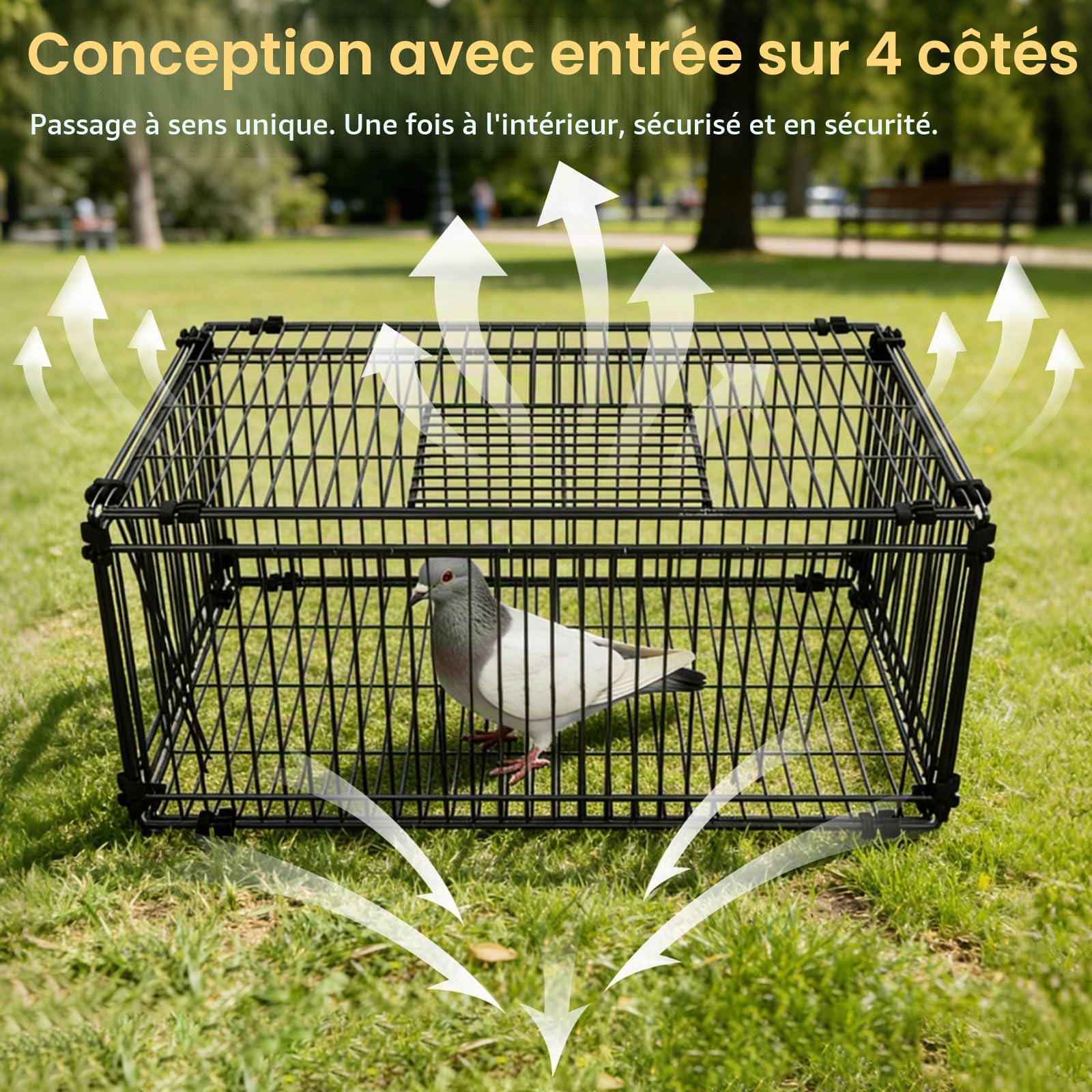Cage à Pigeons, Pliable, avec Une Seule entrée et Une Lucarne, idéale pour Les Jardins, Les balcons, Les fermes et Les pigeonniers. Dimensions : 60 x 40 x 26 cm