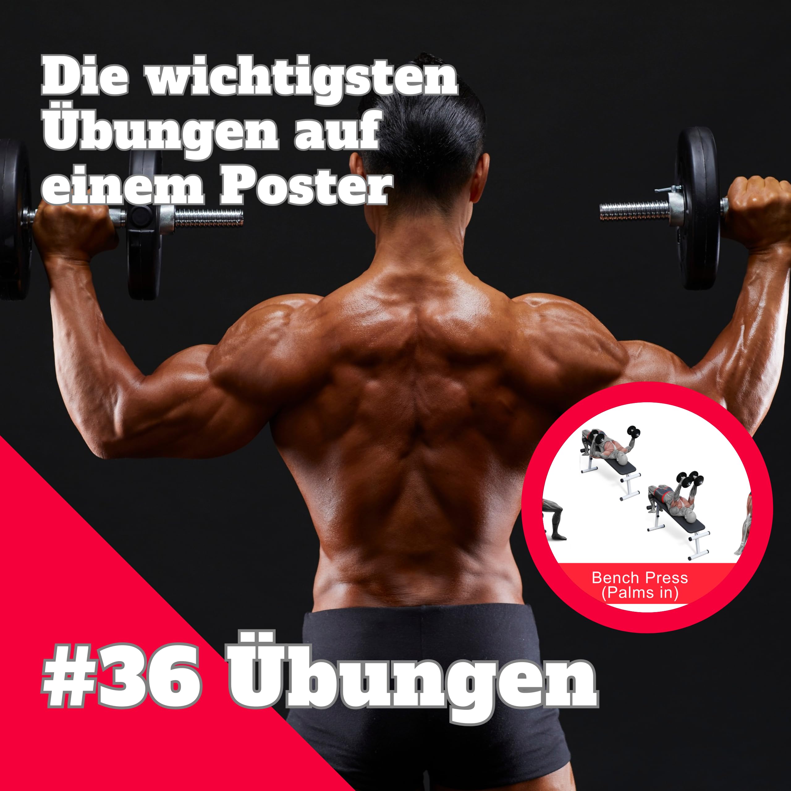 CLEAN SPORTS® Plakat treningowy przedstawiający treningi z hantlami, z sześcioma treningami całego ciała, sportowy, do pokoju hobbystycznego lub siłowni, A2