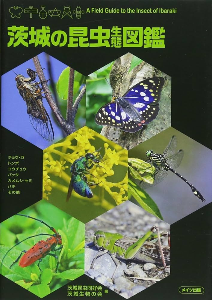 茨城の昆虫生態図鑑 | 茨城昆虫同好会, 茨城生物の会 |本 | 通販