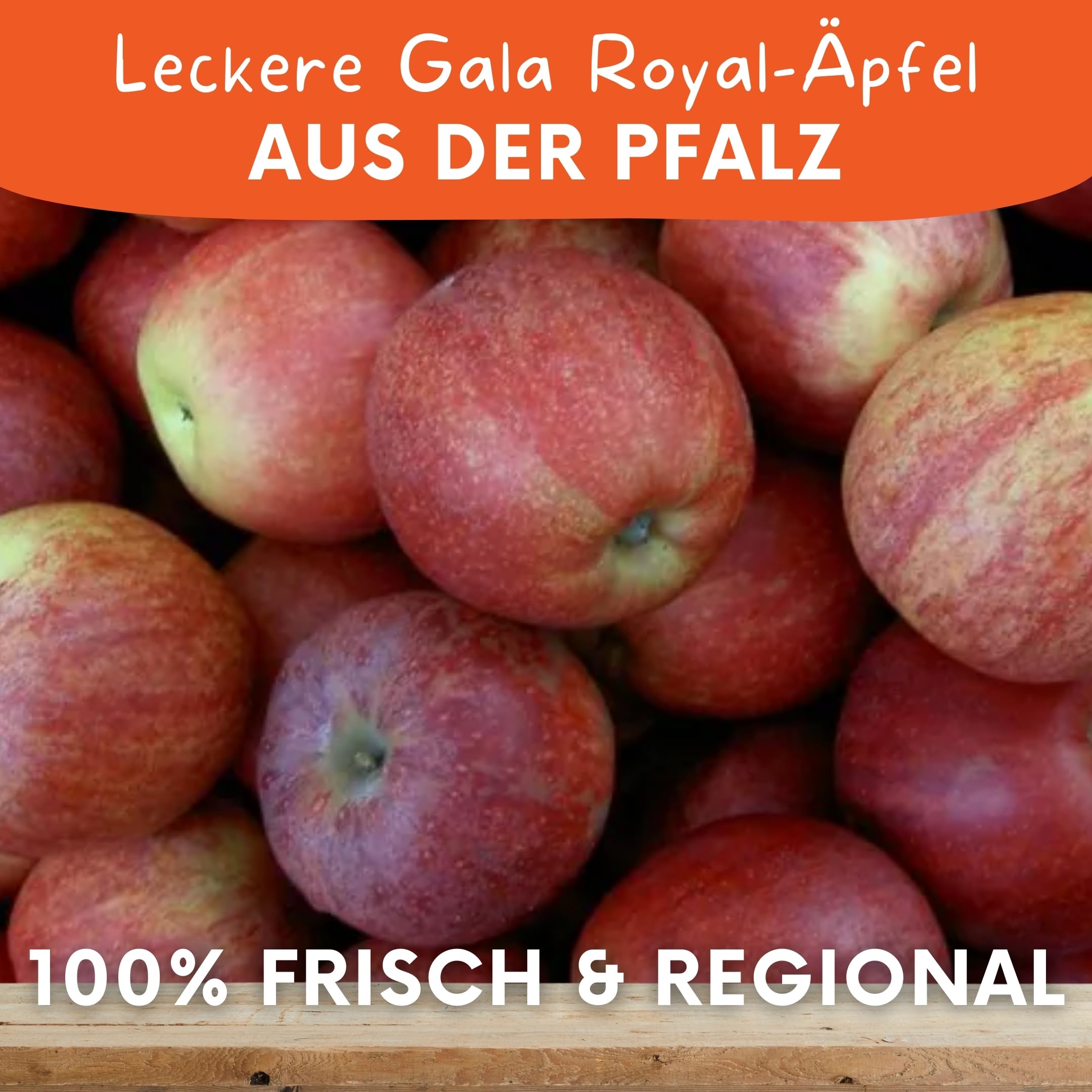 Apfelbox Gala Royal – 7 kg frische Äpfel direkt vom Obsthof | süß, knackig & aromatisch | regional, plastikfrei & nachhaltig | Saftiger Apfel | Versand immer Dienstag