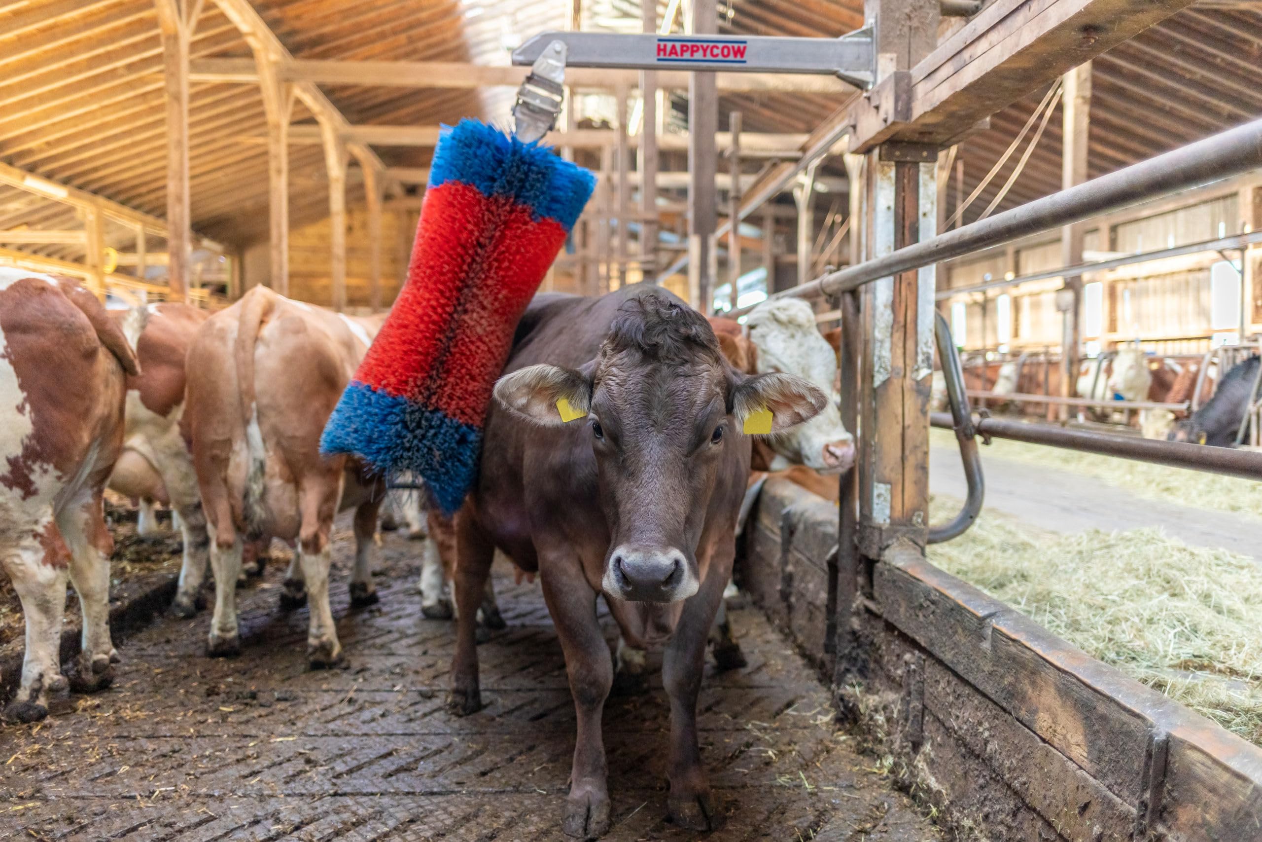 Kerbl Viehbürste HAPPYCOW Free Maxi, 18865