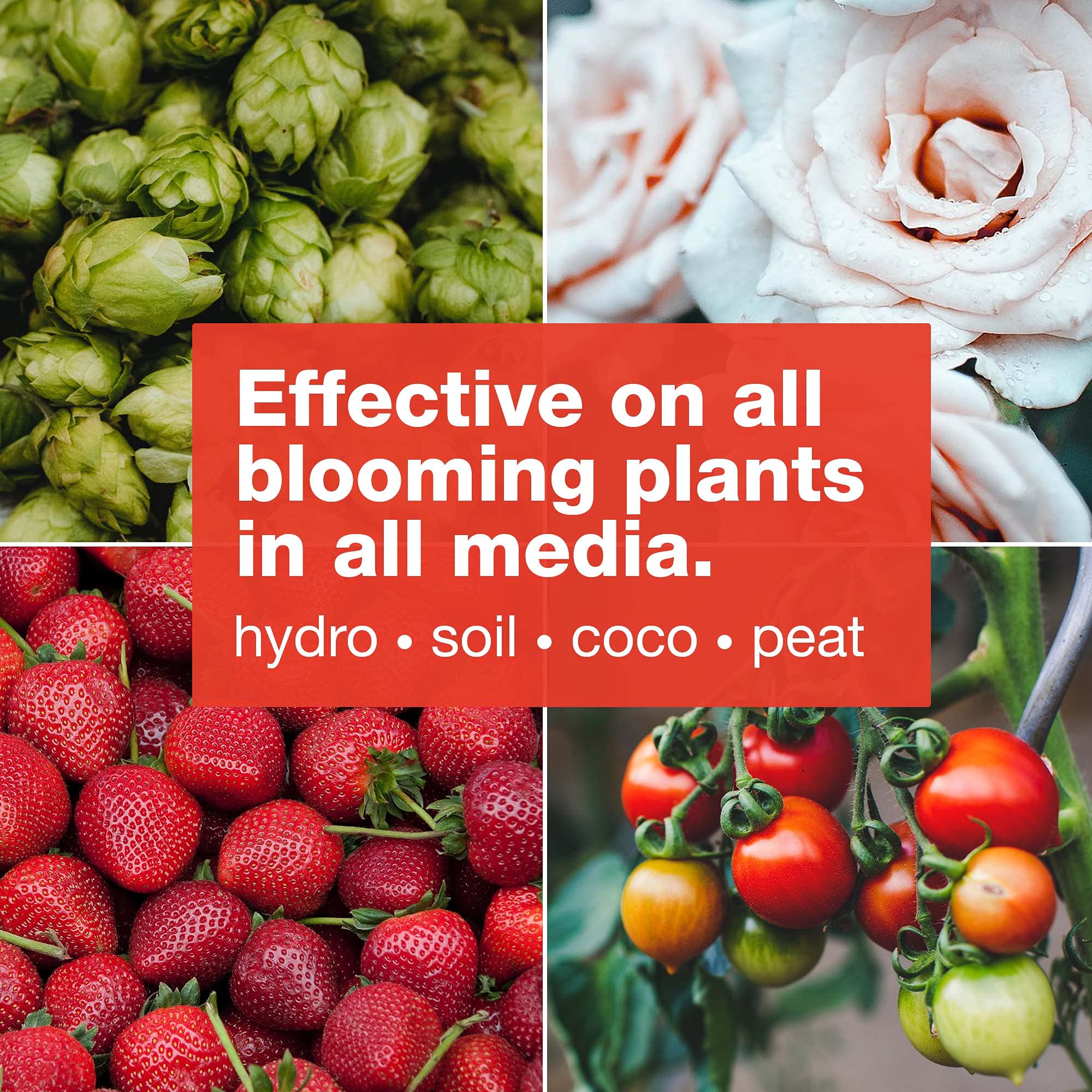 Bloom Bud Builder & Flower Hardener Plant Nutrient and Supplement