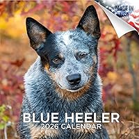 Vista 147 de Razas de Perros 2017