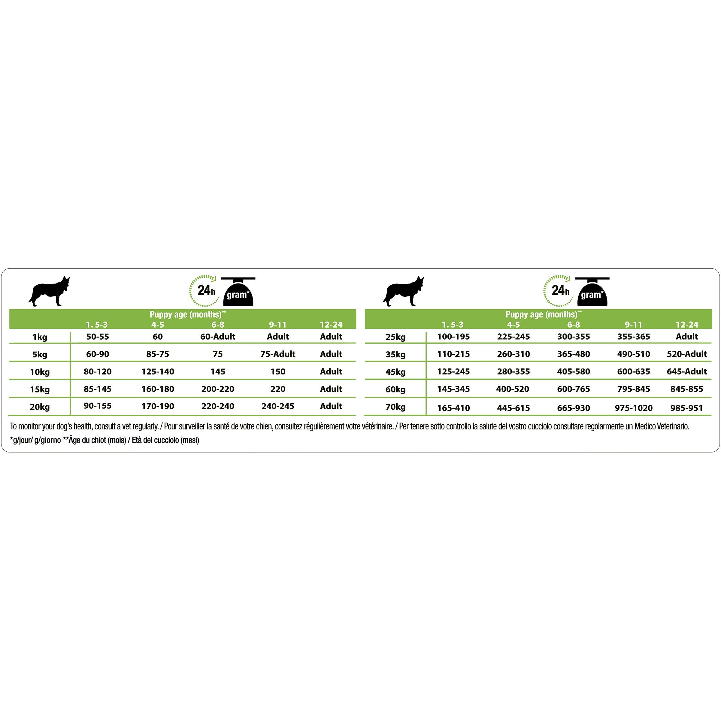 Pro Plan Dog Medium Puppy Hund, Huhn und mit Reis, Trockenfutter Beutel 12 kg + 2 kg gratis, 1er Pack (1 x 14 kg)