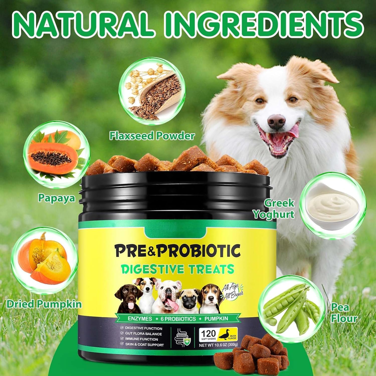 Probiotici per Cani, Probiotici per Cani Enzimi digestivi, Salute dell'intestino, Prurito cutaneo, Allergie, Equilibrio dei lieviti, Sistema immunitario e Supporti per la Salute Generale