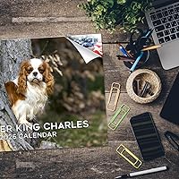 Vista 589 de Razas de Perros 2017