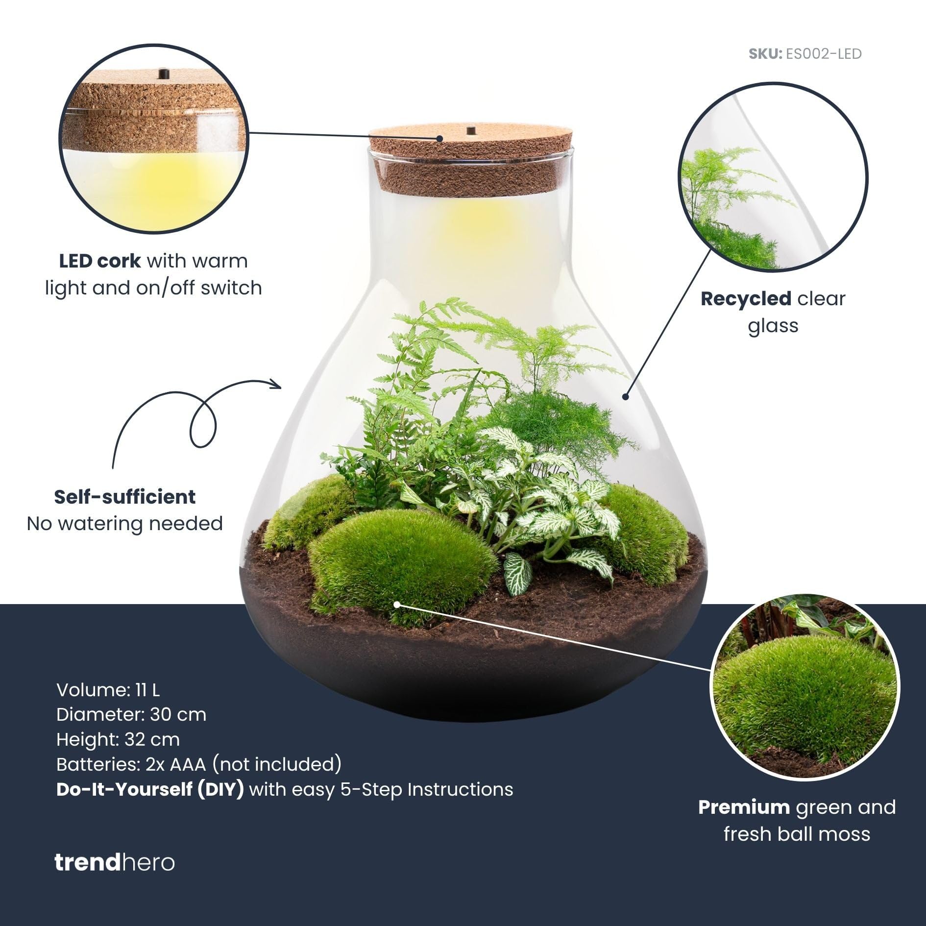Kit DIY Terrarium • Sam XL • Écosystème avec Plantes • ↑ 35 cm