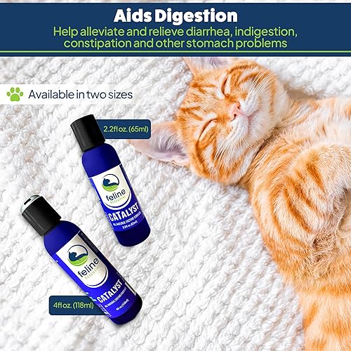 Miniatura 5 de Catalyst - Fórmula enzimática antioxidante para gatos - Enzima digestiva para gatos - Enzimas digestivas para gatos - Soporte digestivo para gatos -