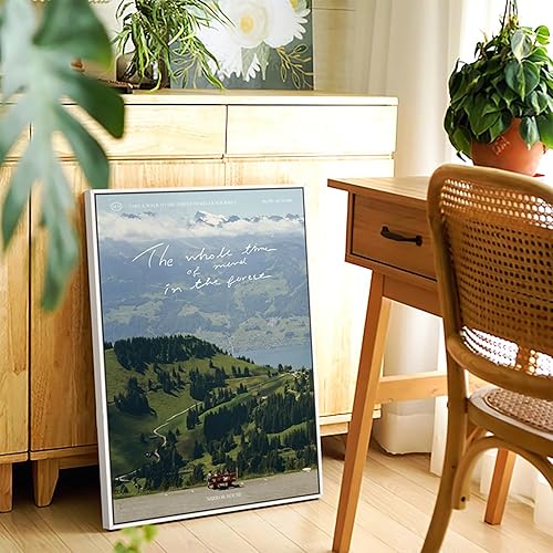 Miniatura 7 de HUACANVAS Marcos flotantes de lona, marco flotante de lona, marco flotante para lienzo, marcos flotantes para pinturas en lienzo, marco de lienzo