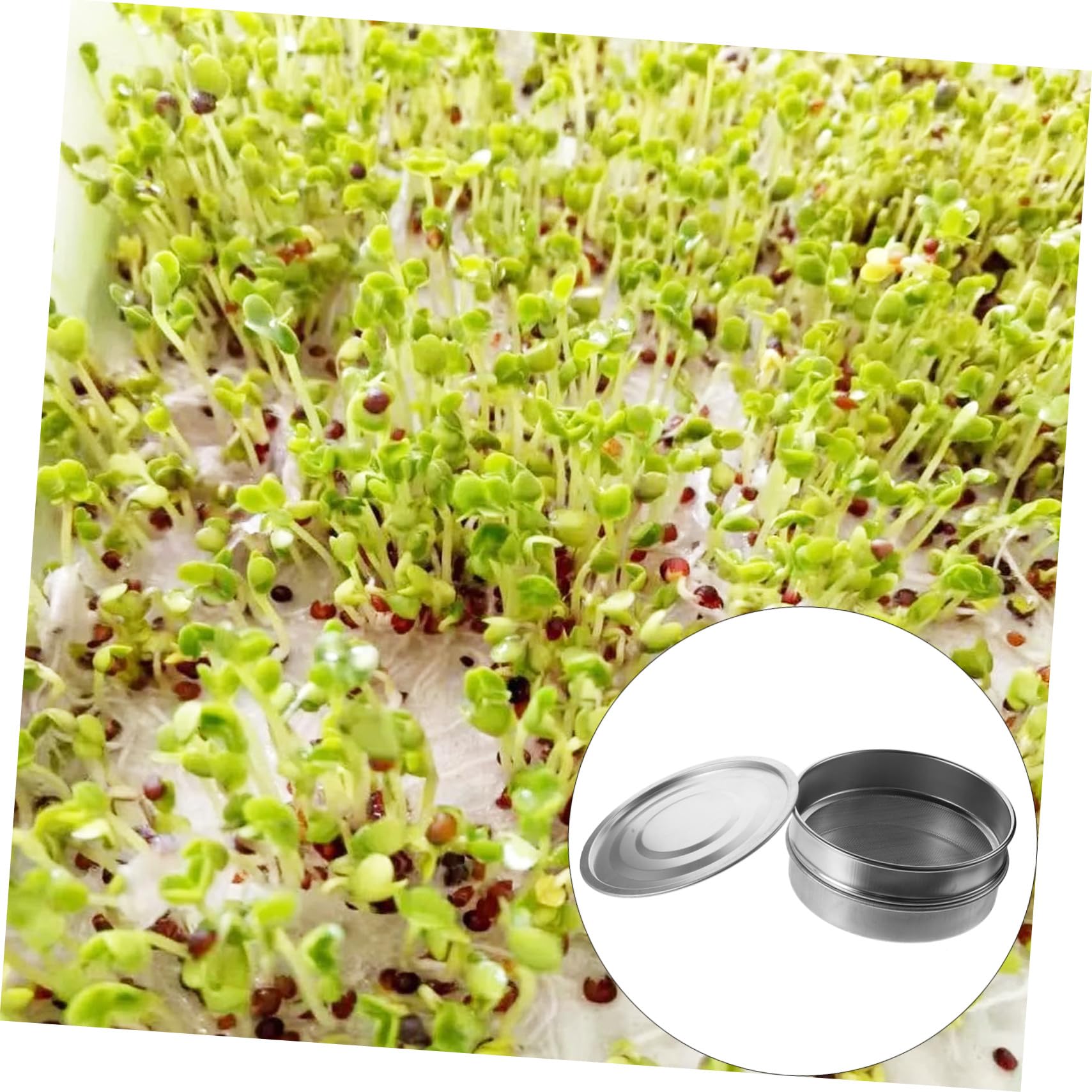 Keimschalen aus Edelstahl 20cm 3 Stück mit Feinmaschigem Sieb zur Vermeidung von Samenverlust und Einfacher Drainage für Garten und Zuhause