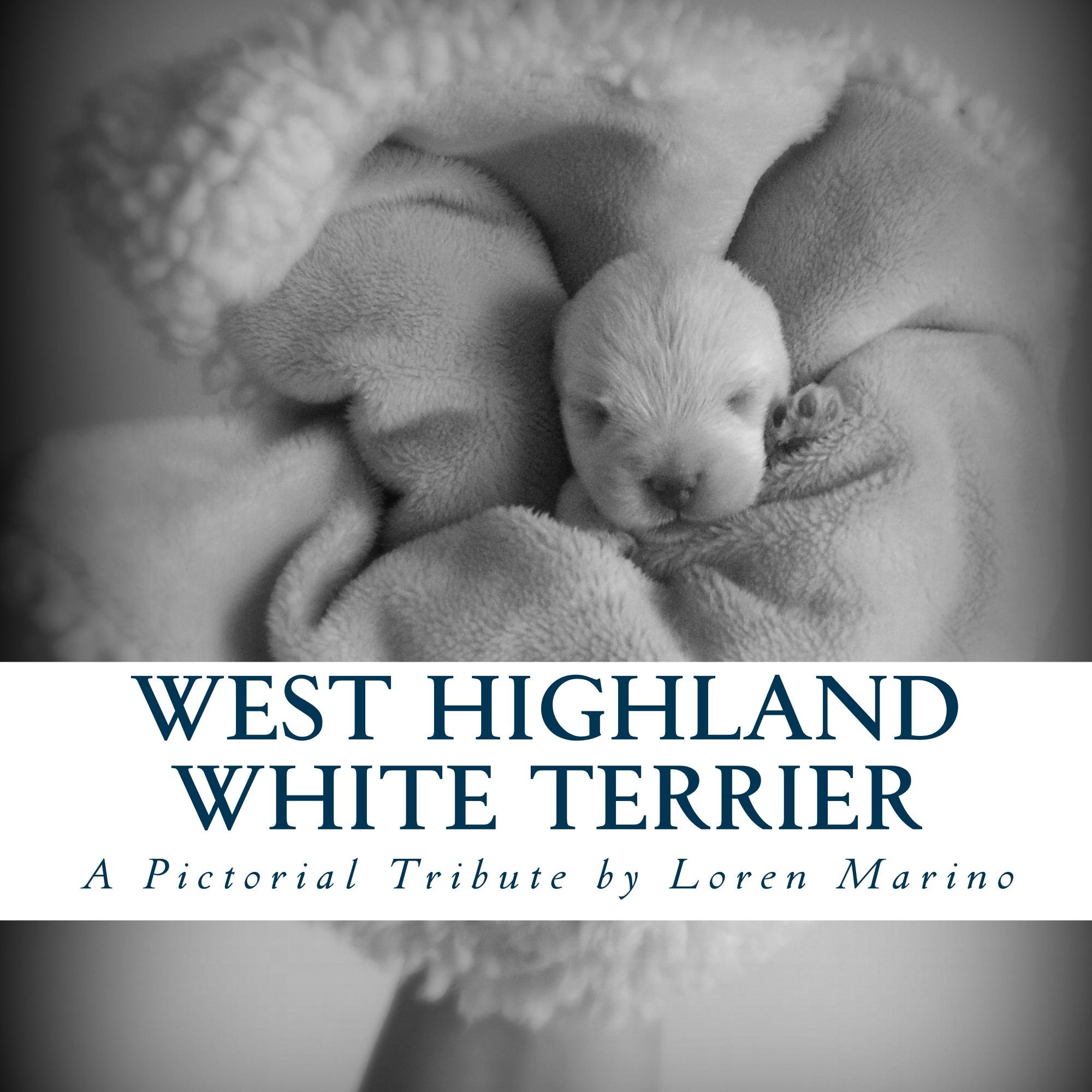 West Highland White Terrier: A Pictorial Tribute by Loren Marino