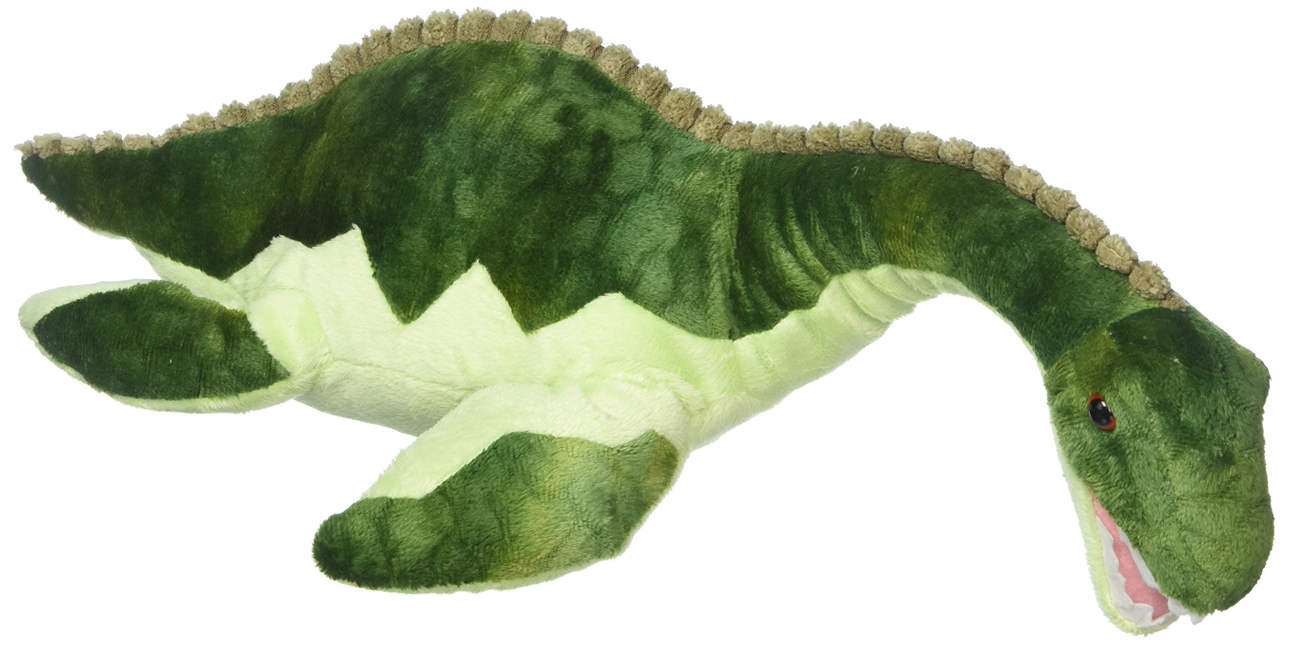 Fiesta15.5" PLESIOSAURIA W/ PICTURE HT